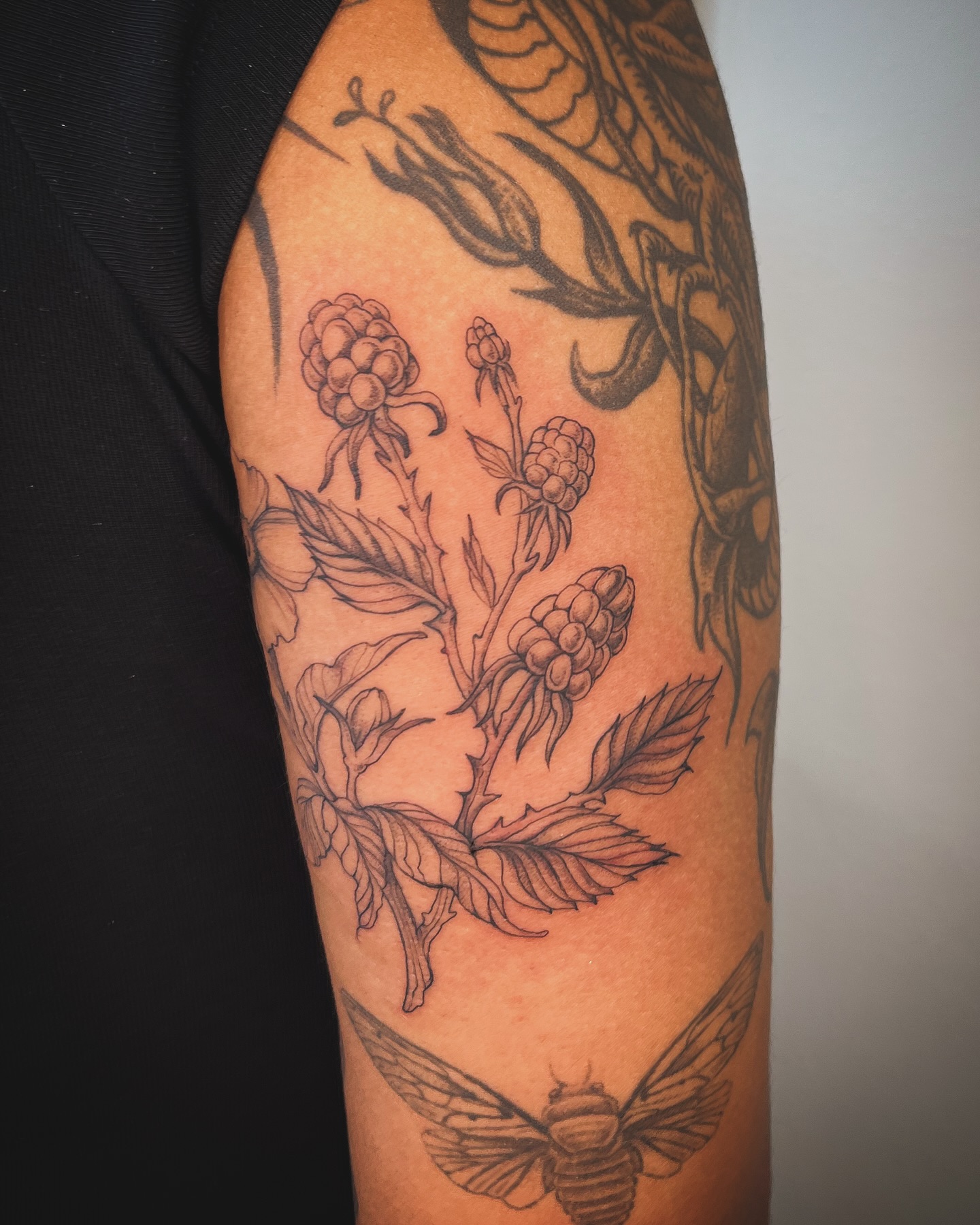 Tattoo by @crispyorchids — fine_line, illustrative
