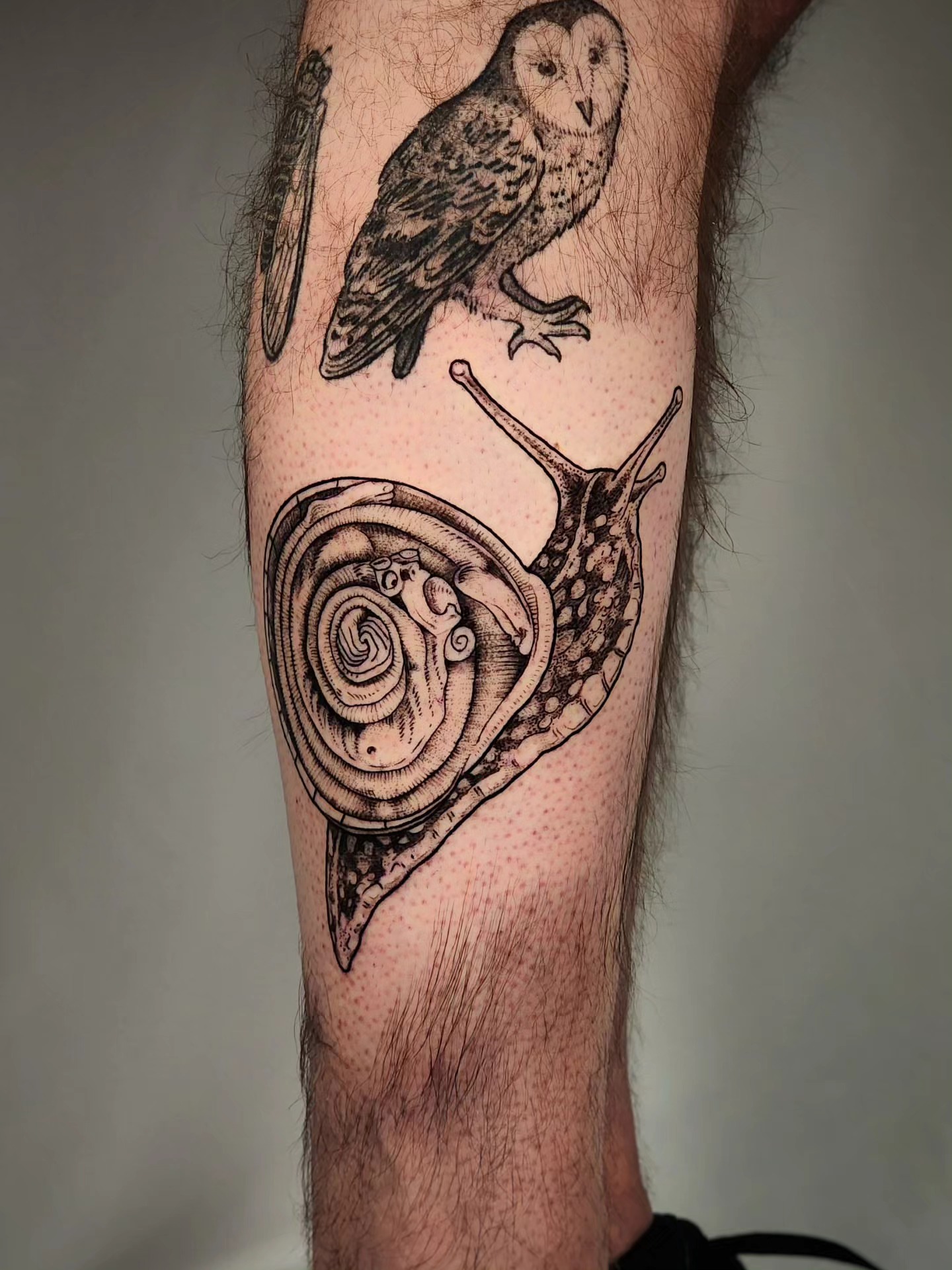 Tattoo by @whitneycaskeytattoos — black_and_grey, realism