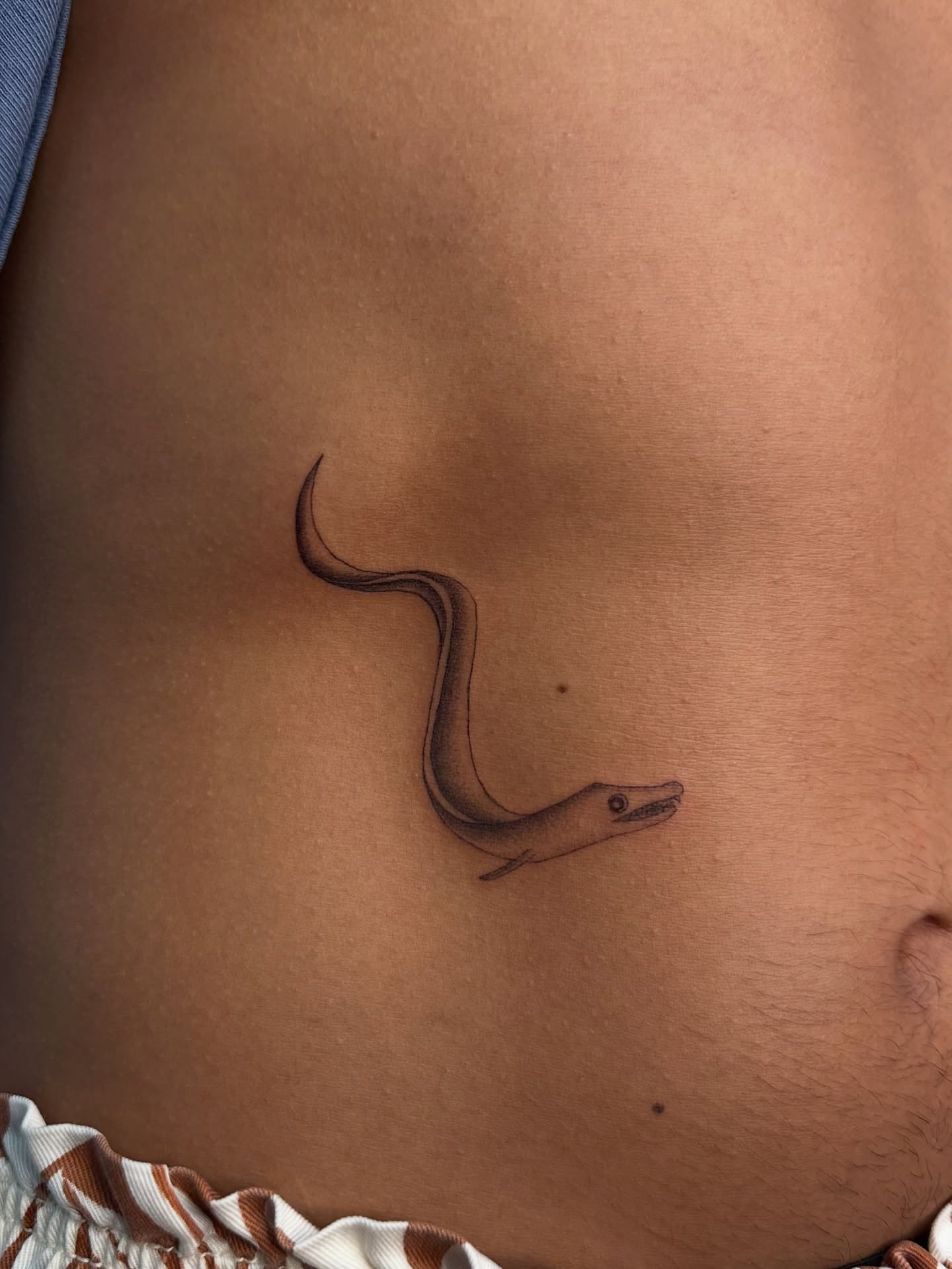 Snake realism tattoo on the ribs by Piccolino, Cambridge, Massachusetts