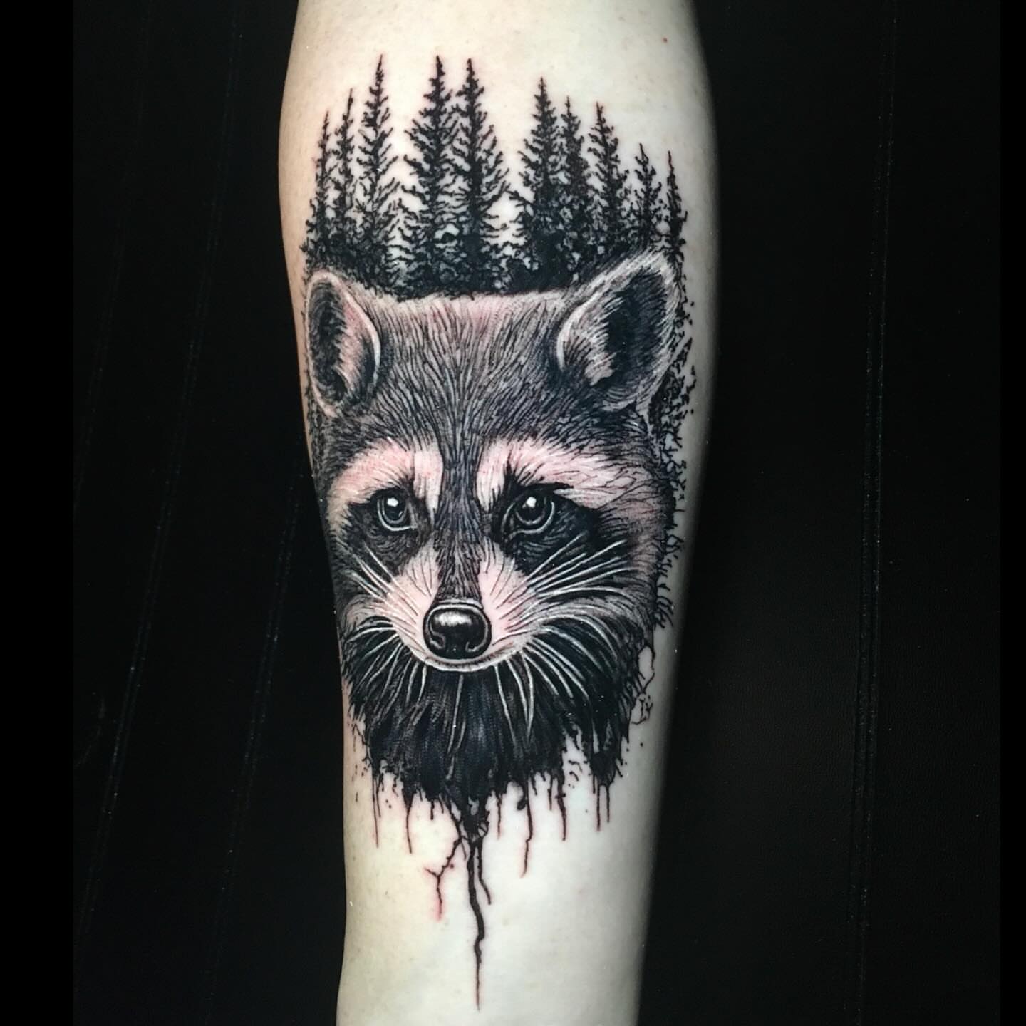 Raccoon realism tattoo on the forearm by Joshua Shawn