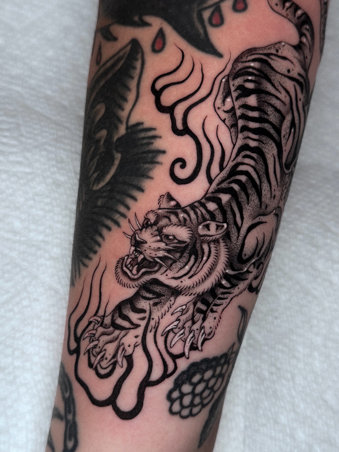 Tiger black and grey tattoo on the forearm by ella
