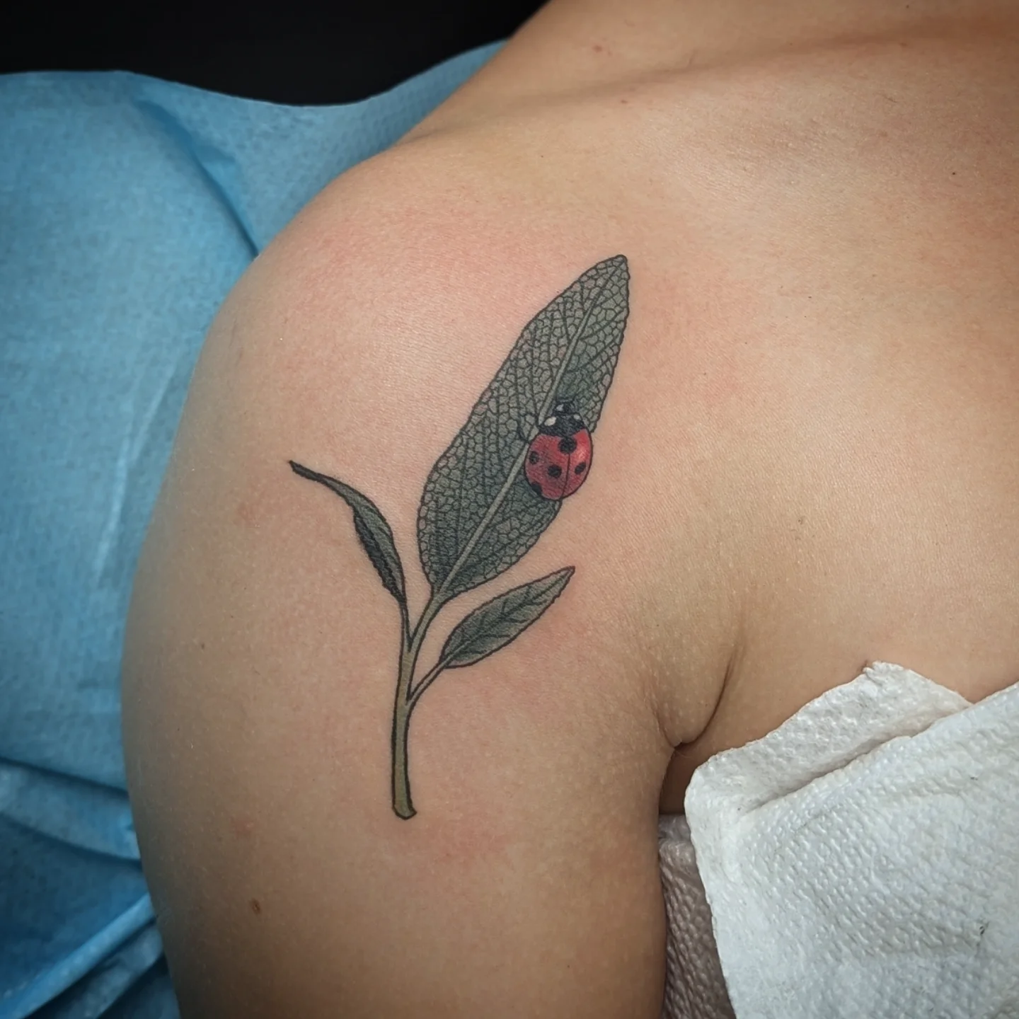 Ladybug on leaf realism tattoo on the shoulder by Lorelei