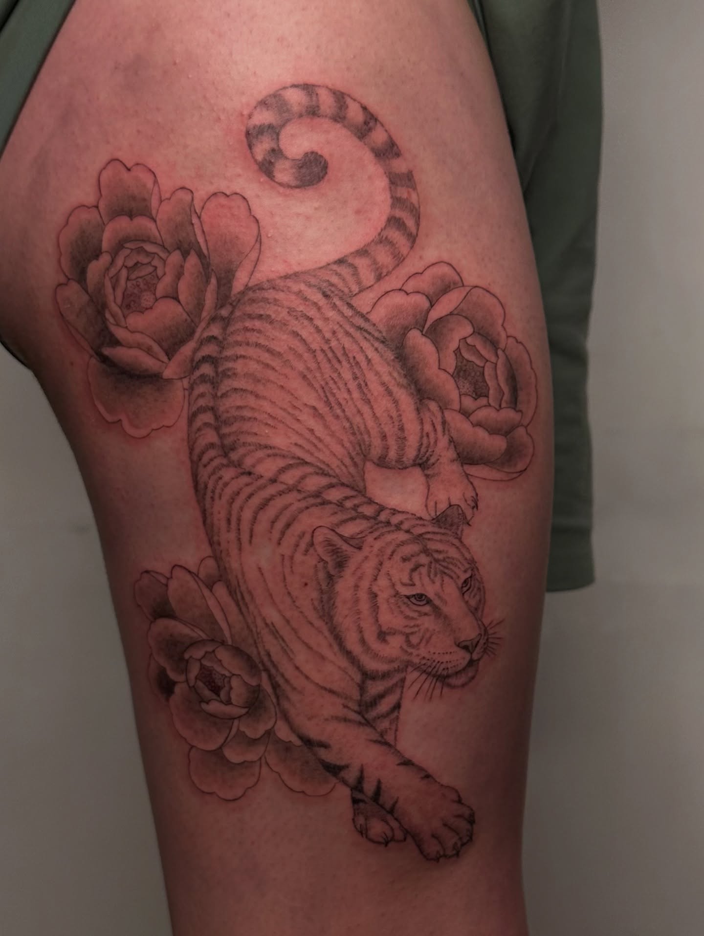 Tiger and flowers black and grey tattoo on the thigh by Piccolino, Cambridge, Massachusetts