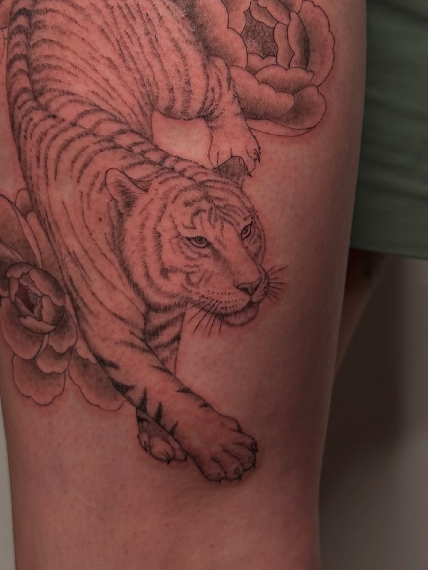 Tiger and flowers realism tattoo on the forearm by Piccolino, Cambridge, Massachusetts