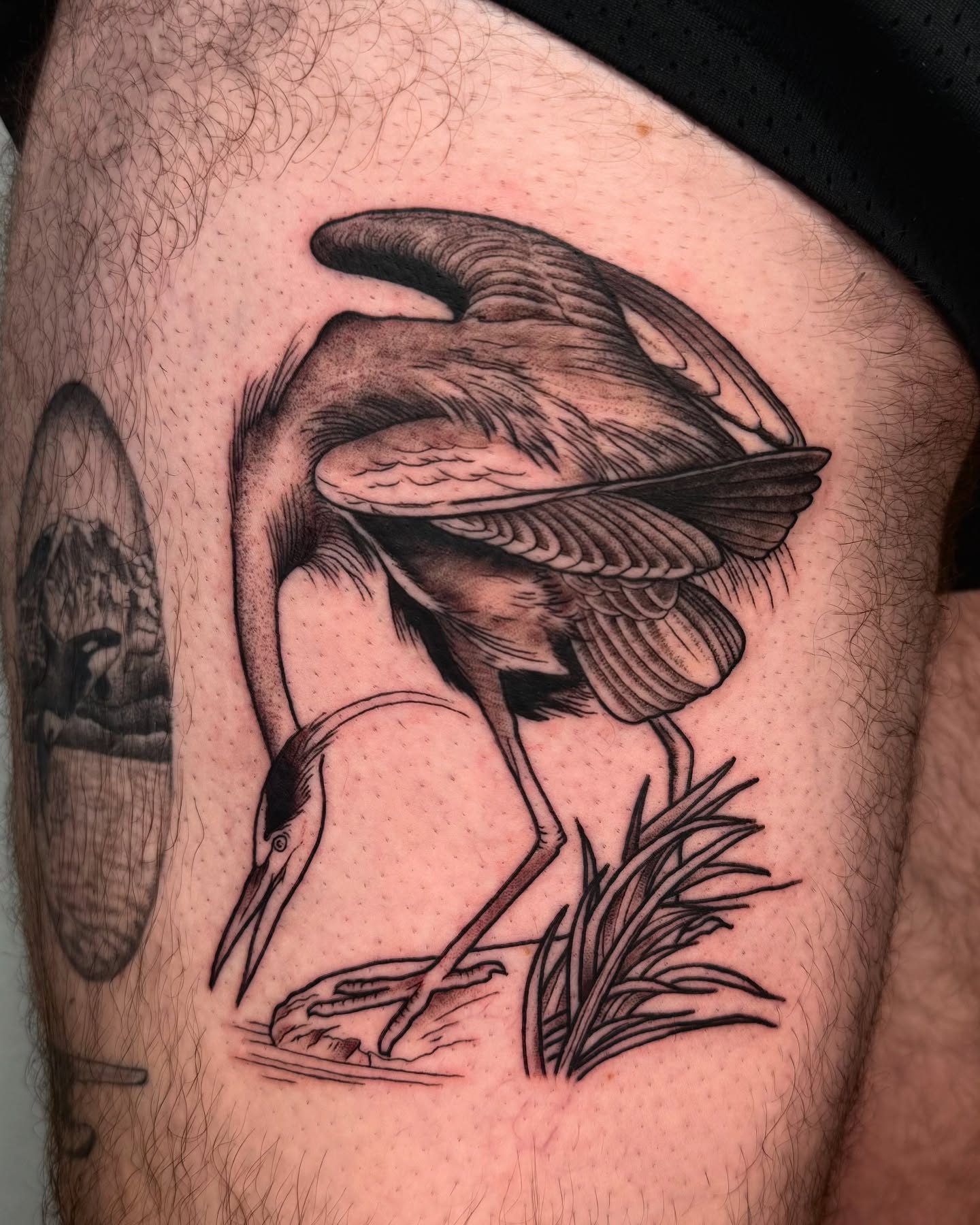 Tattoo by @flynncoooper — black_and_grey