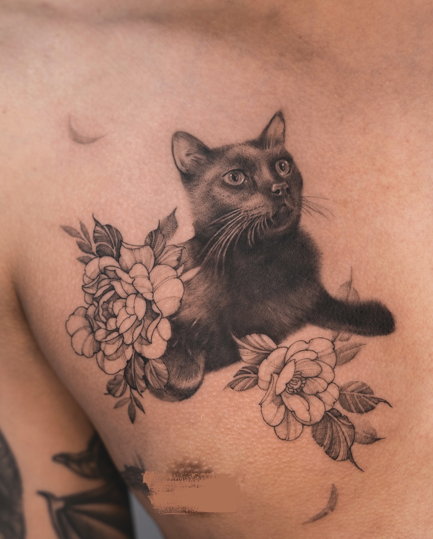 Cat and flowers realism tattoo on the chest by Tri