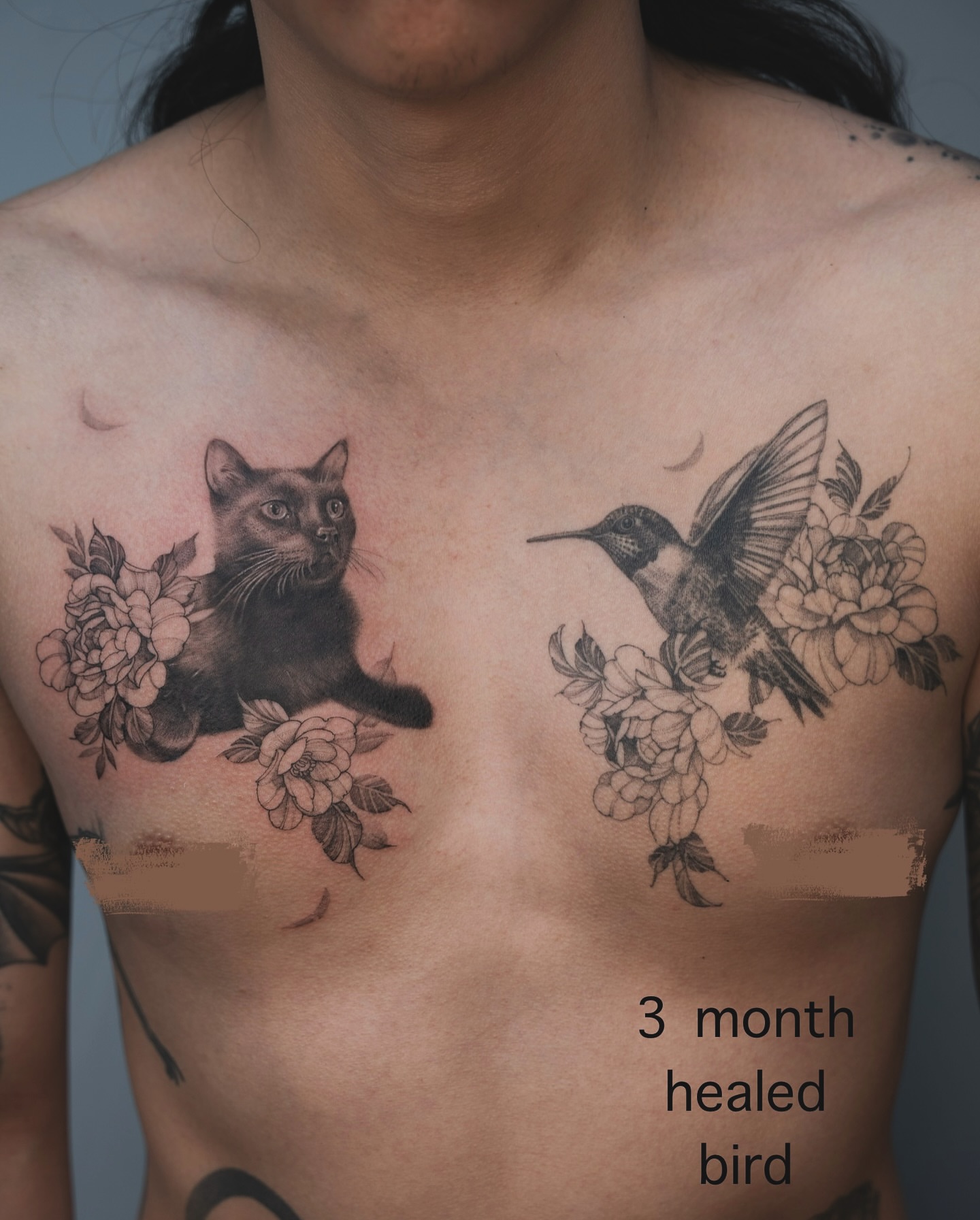 Cat and hummingbird realism tattoo on the chest by Tri