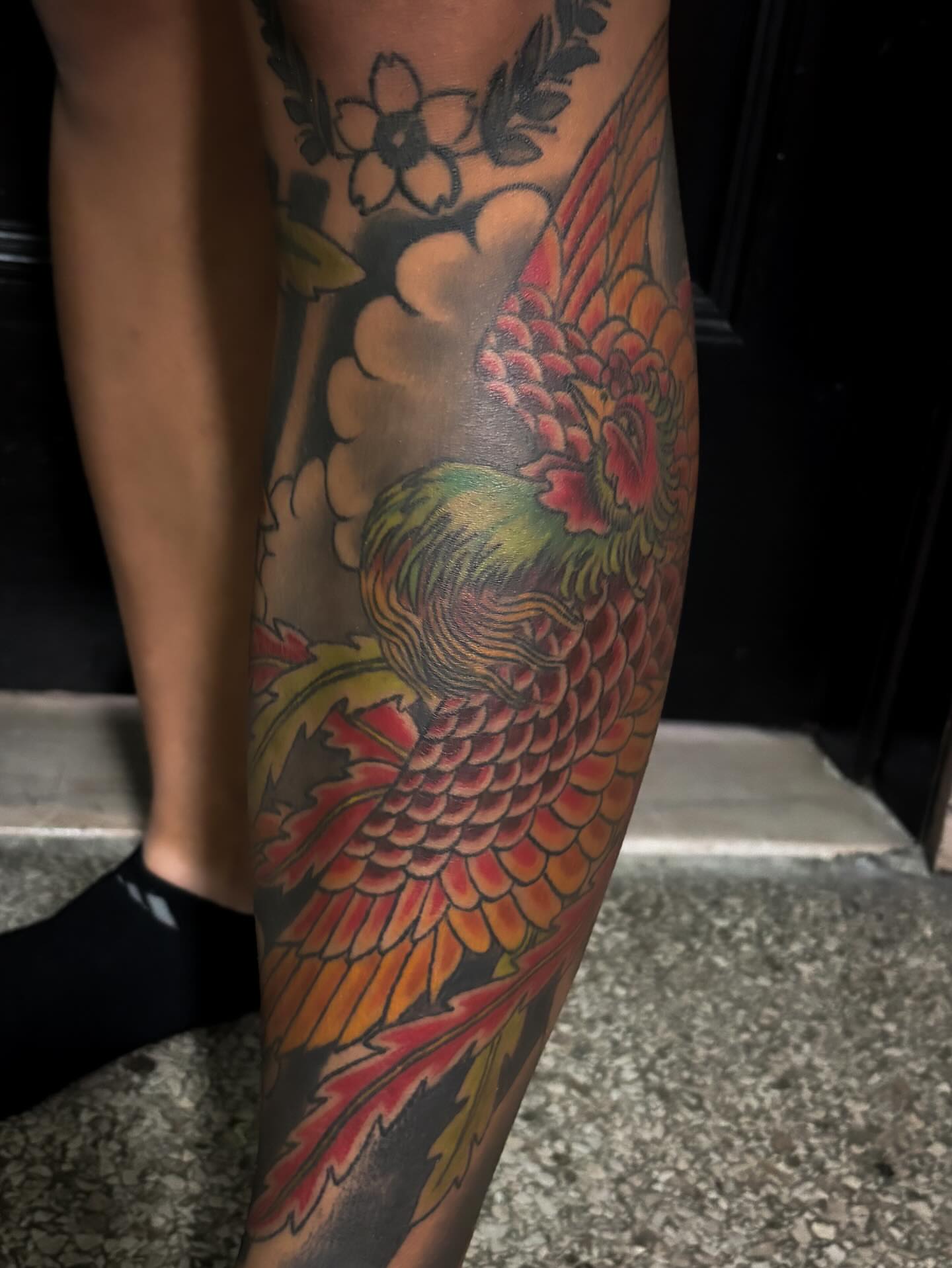 Phoenix American traditional tattoo on the forearm by Adam Underwood, Minneapolis, Minnesota