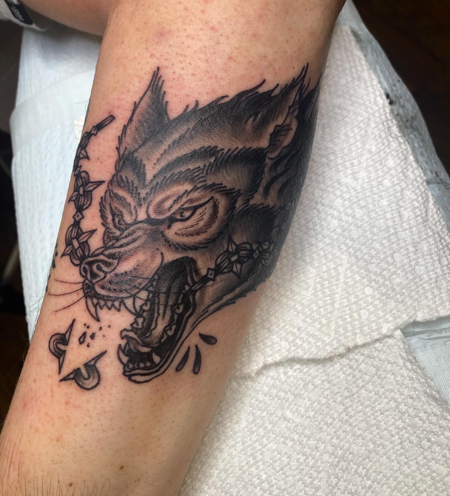 Wolf head black and grey tattoo on the forearm by Thomas Cook