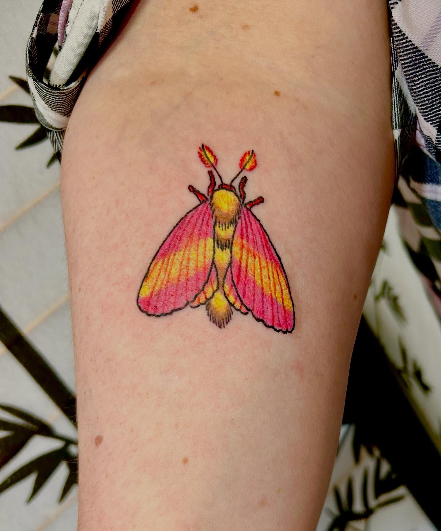 Pink moth realism tattoo on the thigh by Shayna Soderstrom, Columbus, Ohio
