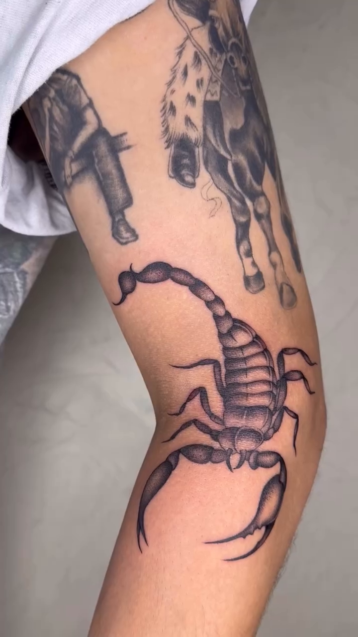 Scorpion and horses realism tattoo by 𝖍𝖆𝖓𝖓𝖆𝖍
