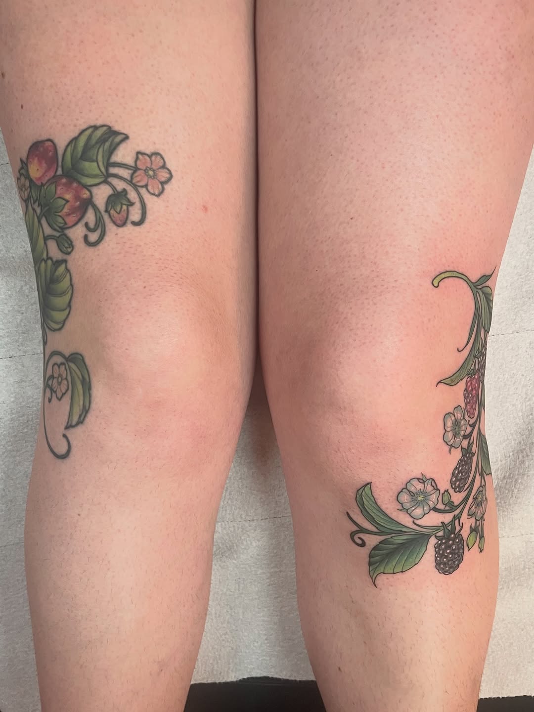 Tattoo by @erinhainestattoos — fine_line, illustrative