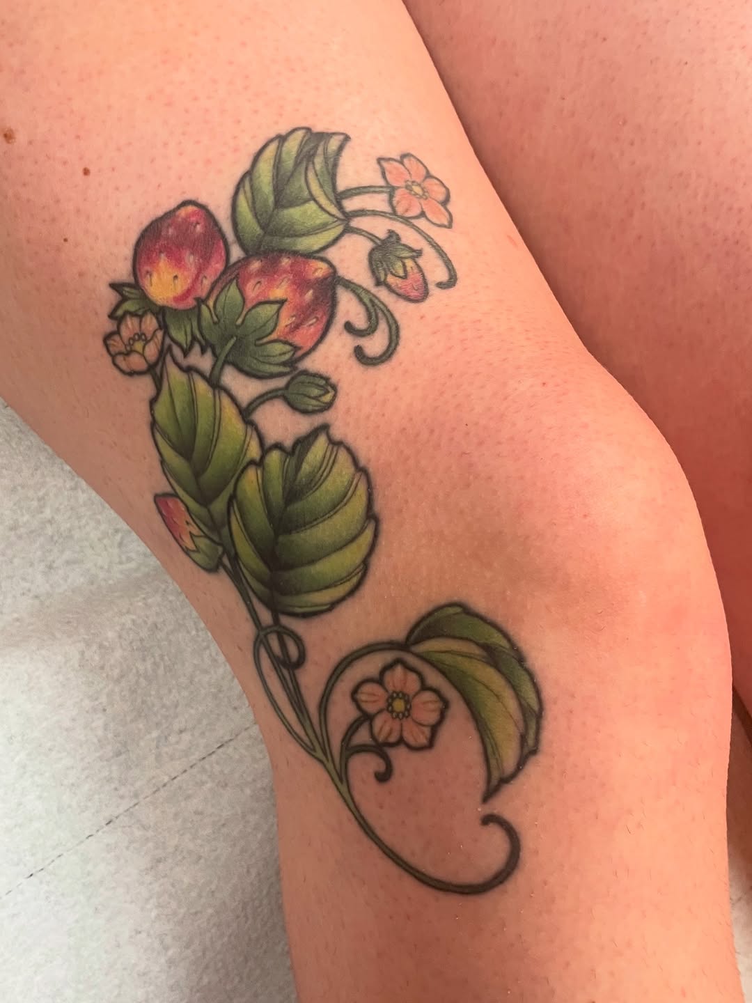 Tattoo by @erinhainestattoos — fine_line, realism