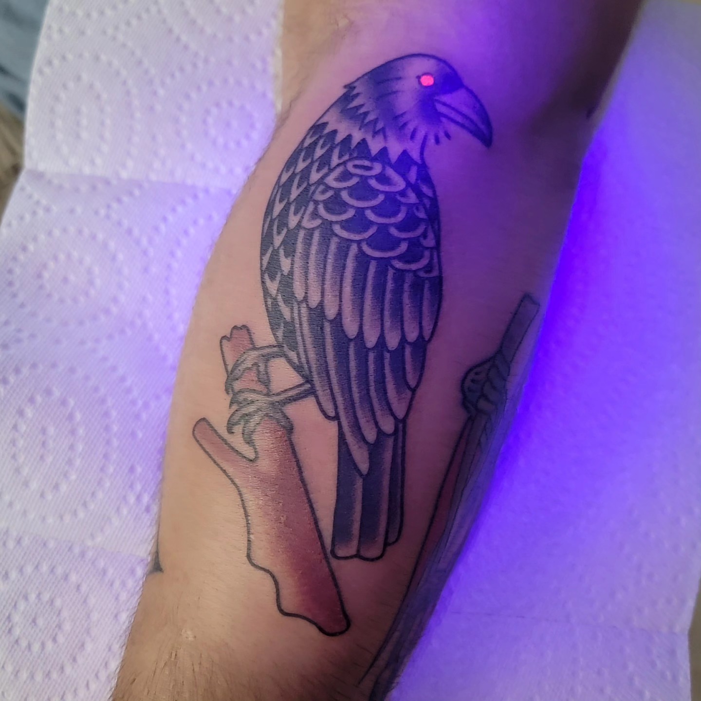 Crow black and grey tattoo on the forearm by Ꮇꮛꮢꮢꭹ