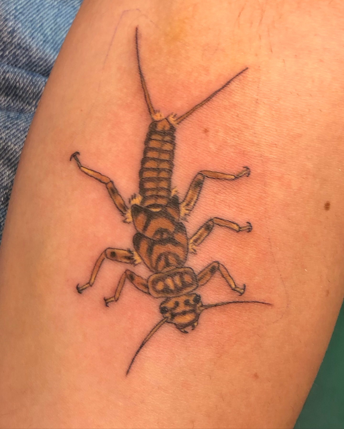 Tattoo by @aidabtattoo — realism