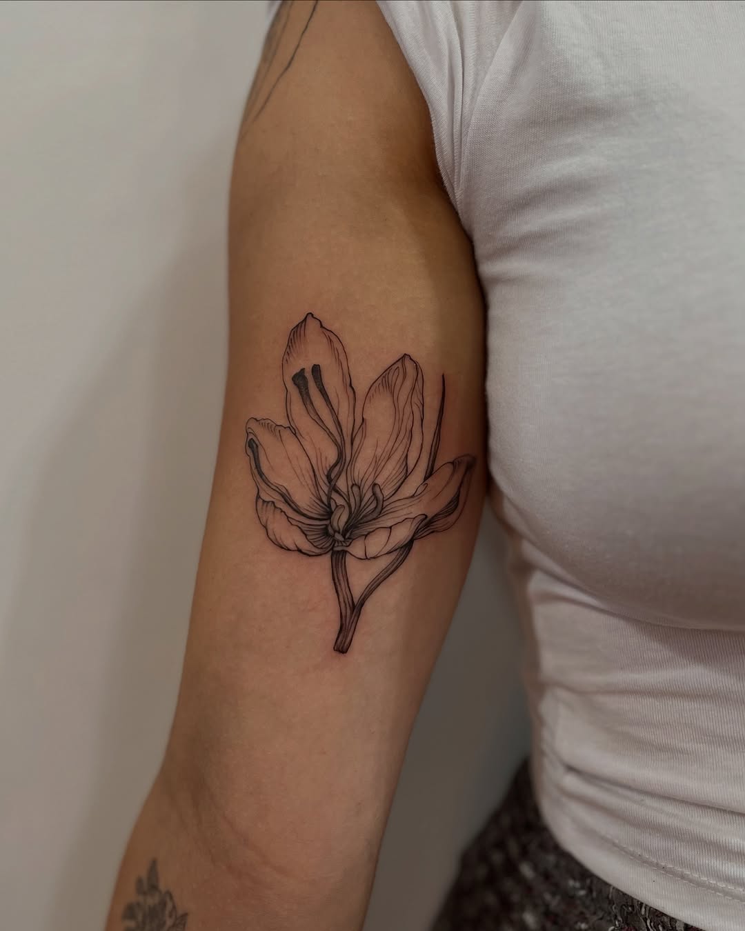 Tattoo by @crispyorchids — fine_line, black_and_grey