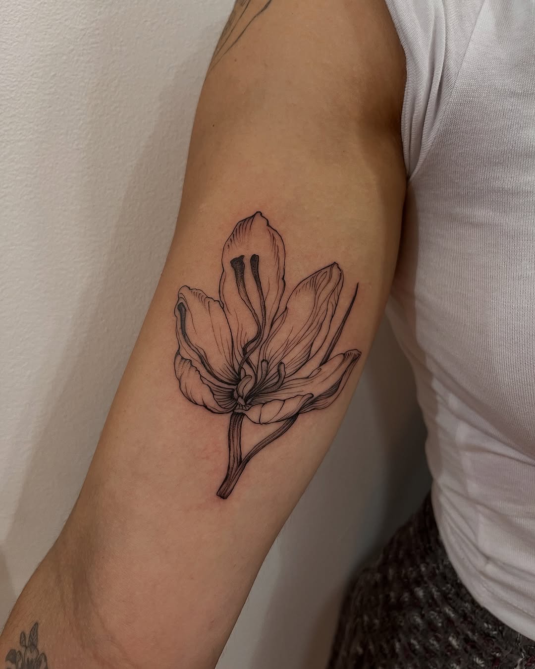 Tattoo by @crispyorchids — fine_line, black_and_grey