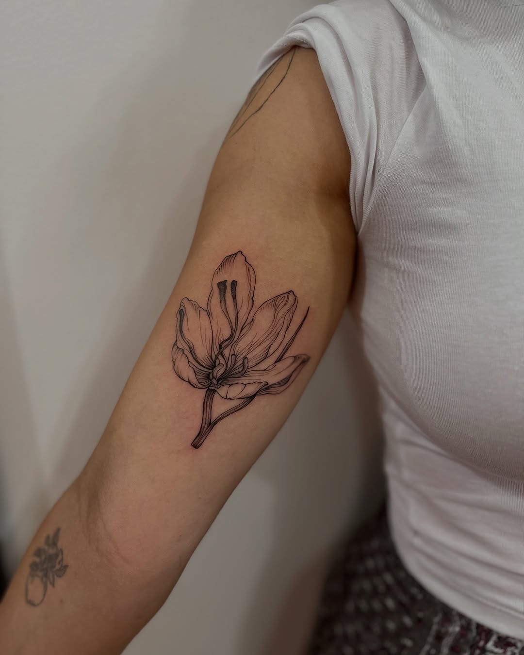 Tattoo by @crispyorchids — fine_line, black_and_grey
