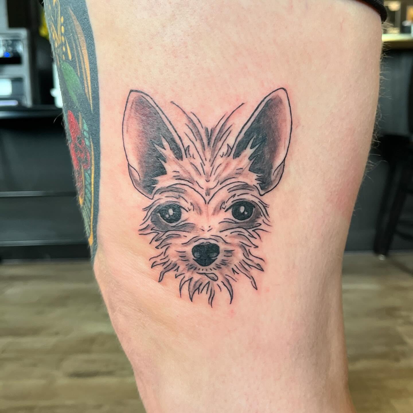 Dog realism tattoo on the forearm by sarah