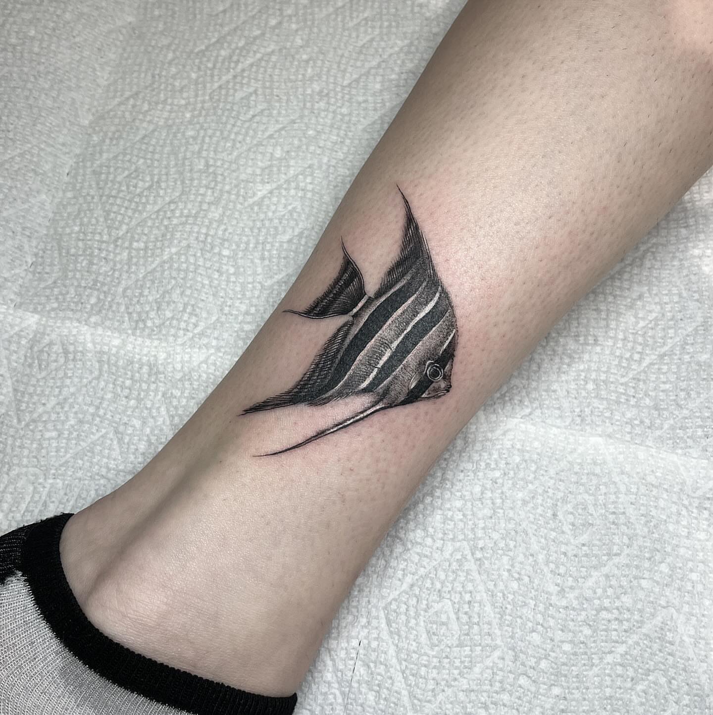 Angelfish black and grey tattoo on the forearm by aurora