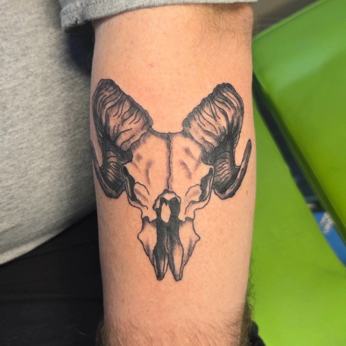 Ram skull black and grey tattoo on the forearm by Abigail (Bgail) Boyd