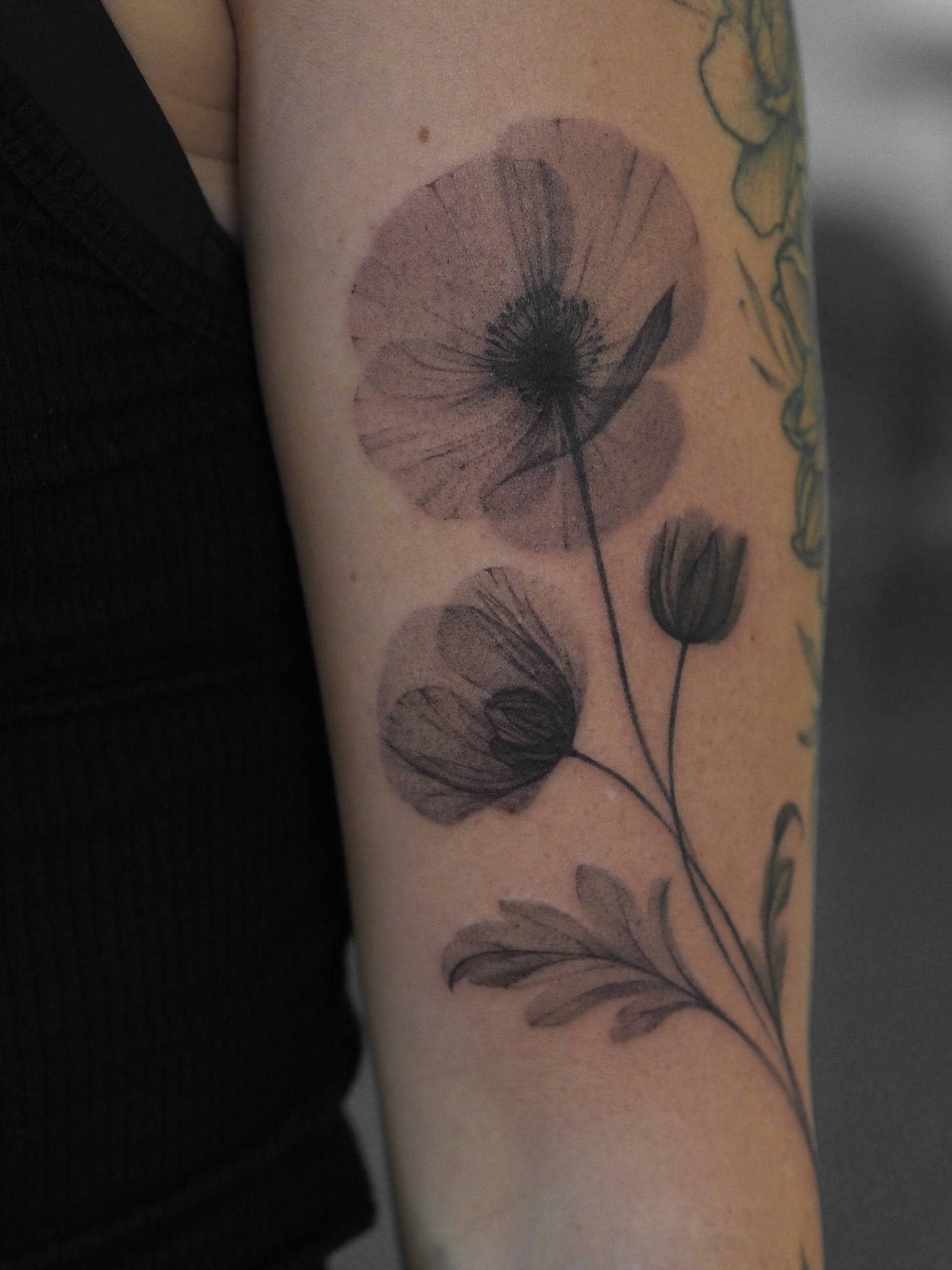 Poppy flowers dotwork tattoo on the forearm by Anastasiia Pakhanova ♥ tattoo artist