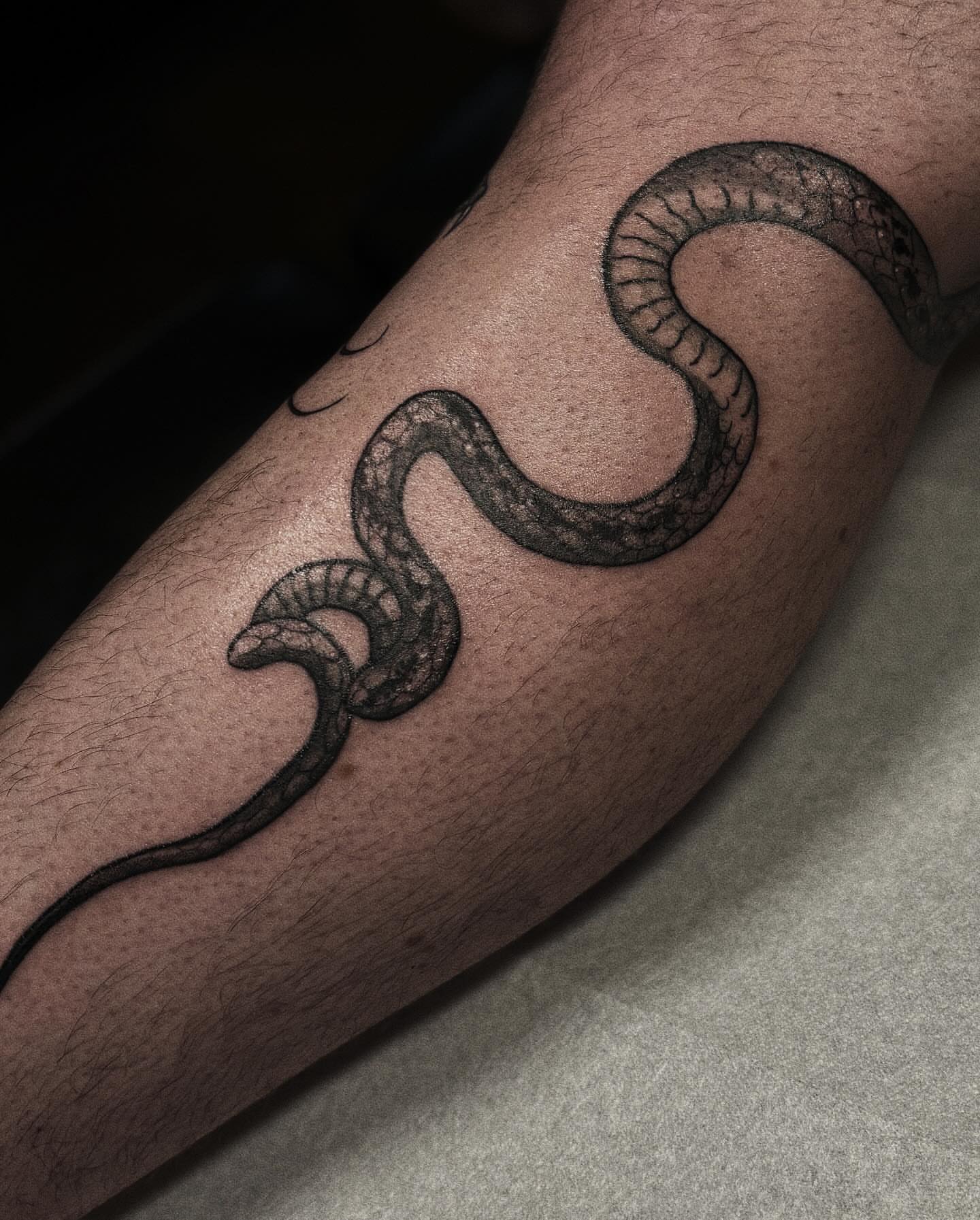 Snake black and grey tattoo on the forearm by ๐๐ช๐ฒ๐ต๐ฎ๐ ๐๐ช๐ฎ๐ฝ๐