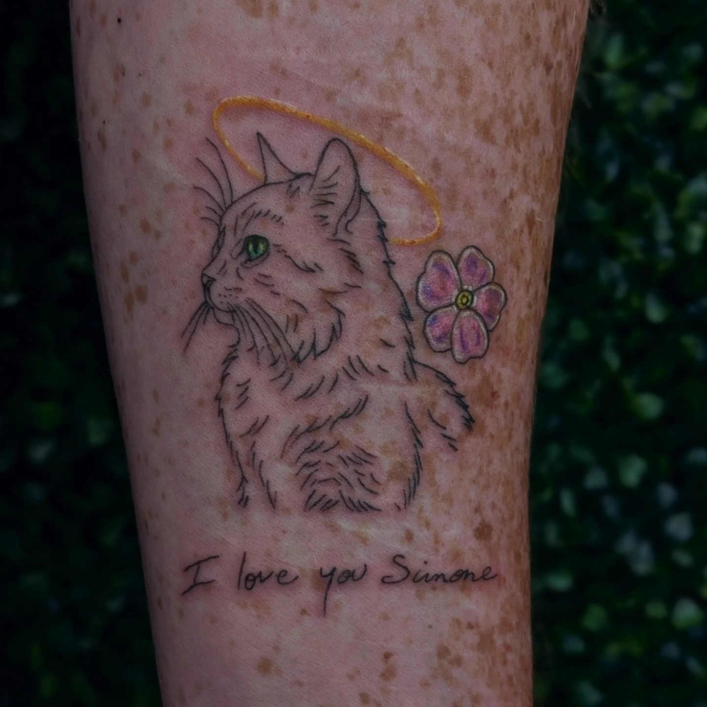 Cat with halo and flower realism tattoo on the forearm by Marlayna Connelly