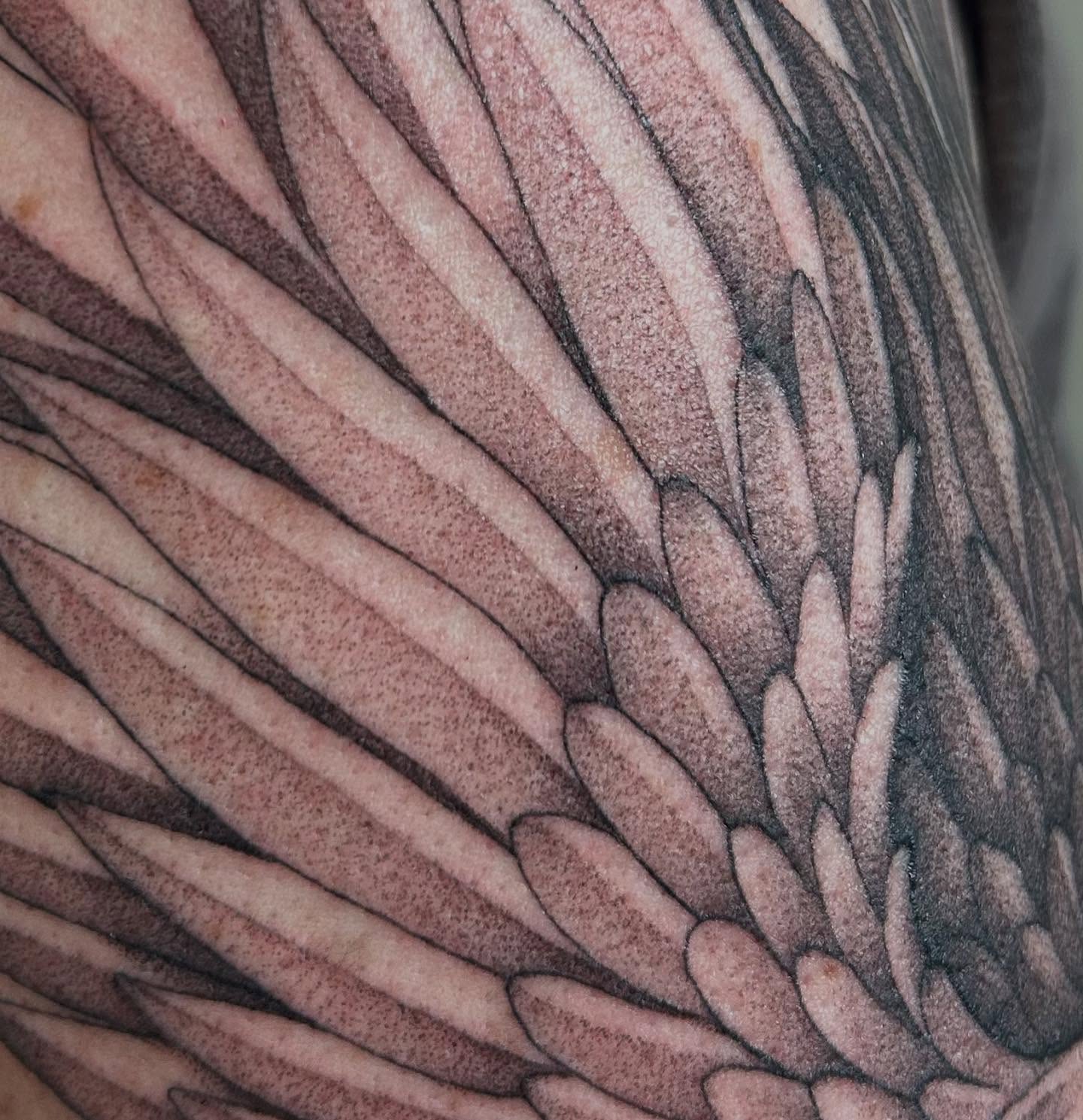 Feather dotwork tattoo on the upper arm by Olivia Fox
