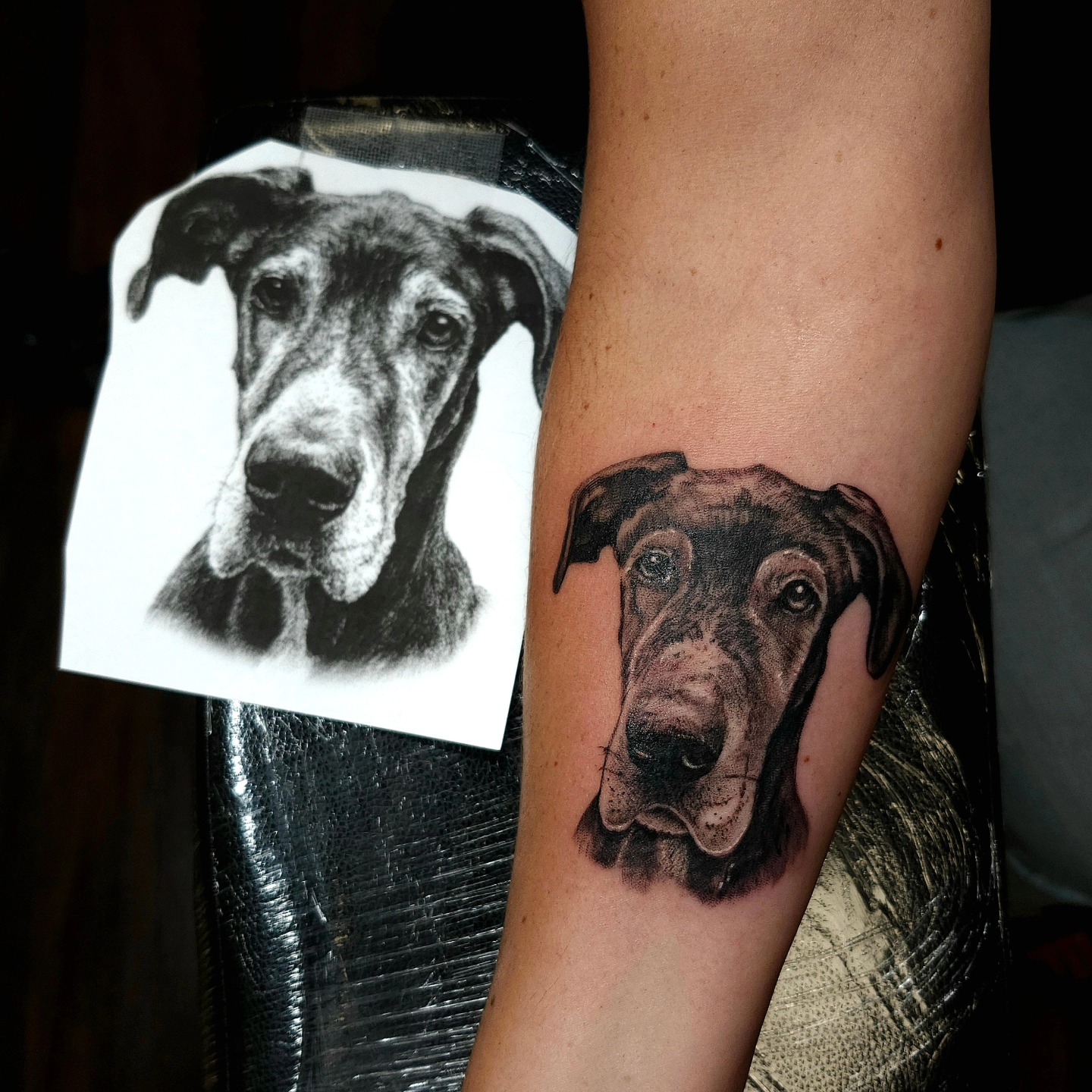 Dog realism tattoo on the forearm by Chris Wodarski