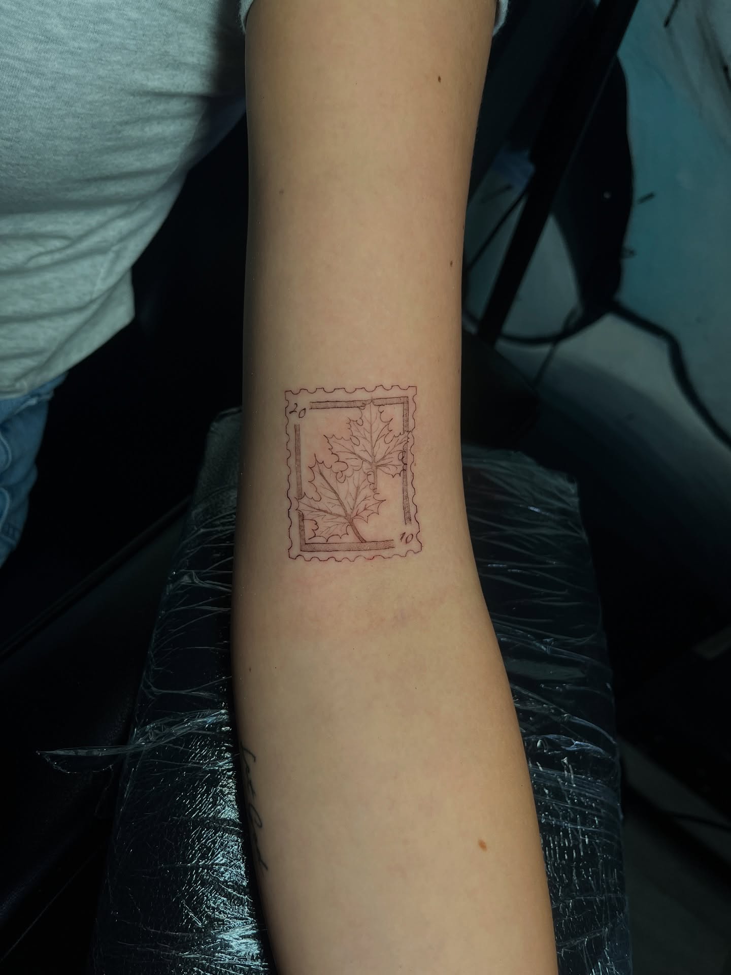 Tree American traditional tattoo on the forearm by Elijah Cosme, Miami, Florida