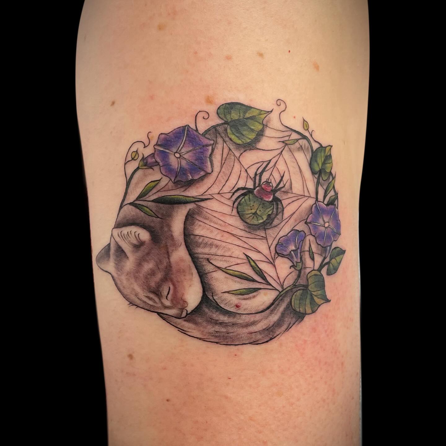 Cat and spider watercolor tattoo on the forearm by Antoinette