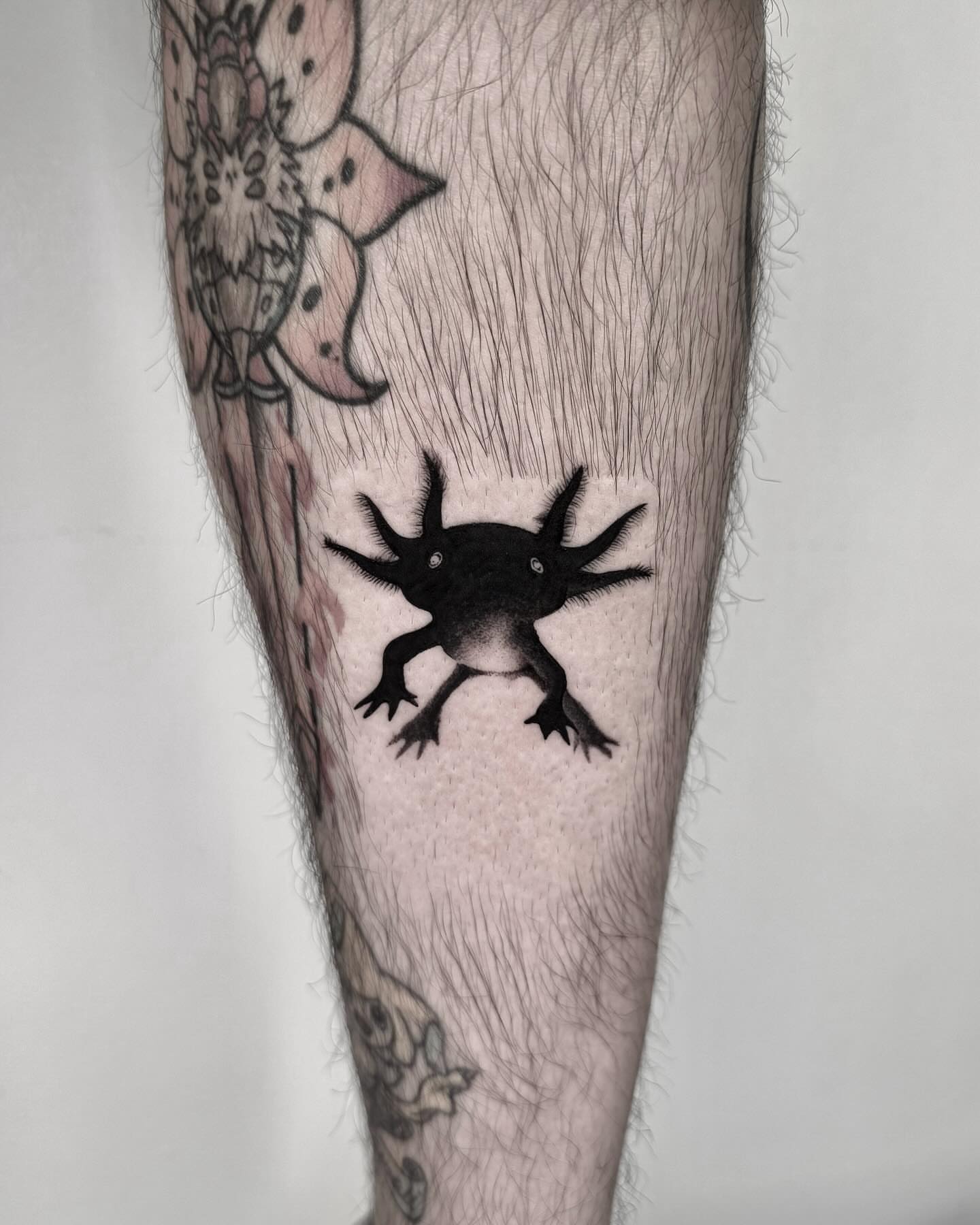 Axolotl black and grey tattoo on the forearm by ππππππ