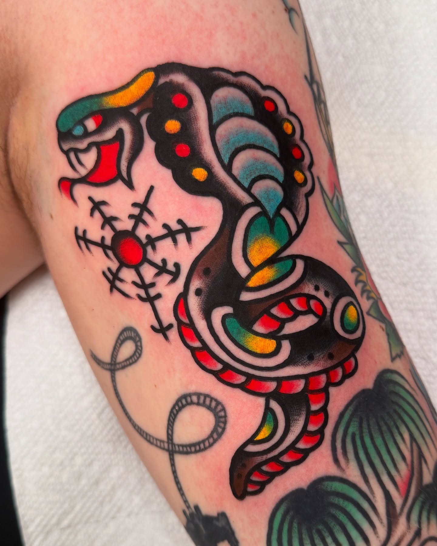Snake American traditional tattoo on the forearm by Cullen Bleser Quinn