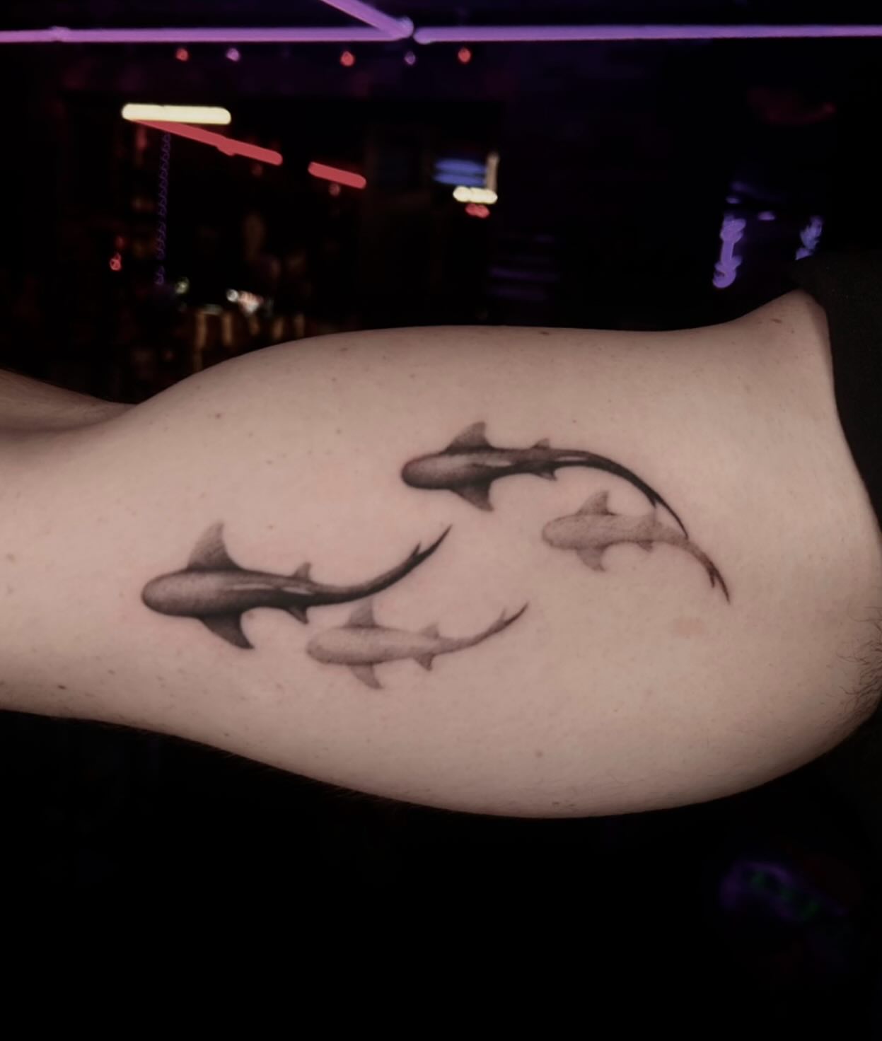 Sharks black and grey tattoo on the forearm by Tattoos by Abbey