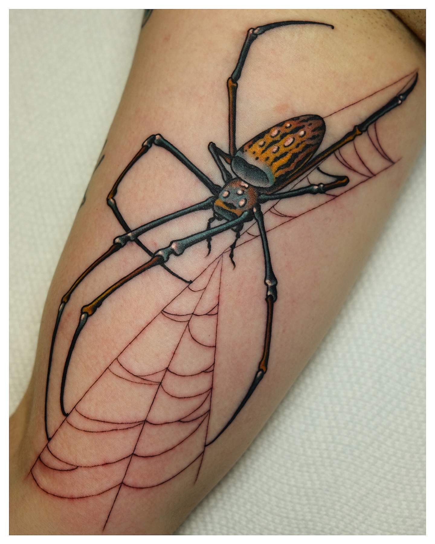 Spider realism tattoo on the forearm by Tony Talbert, Fredericksburg, Virginia