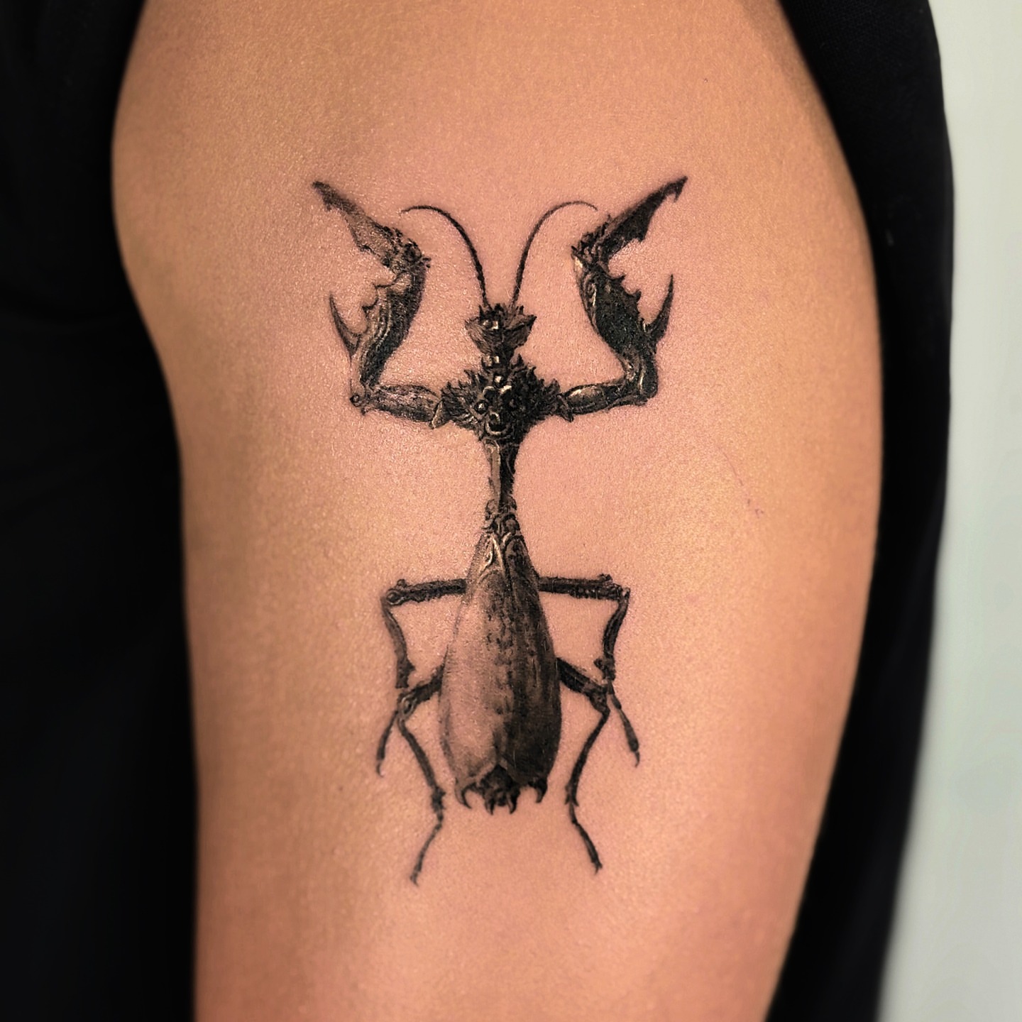 Tattoo by @dasom_real — black_and_grey