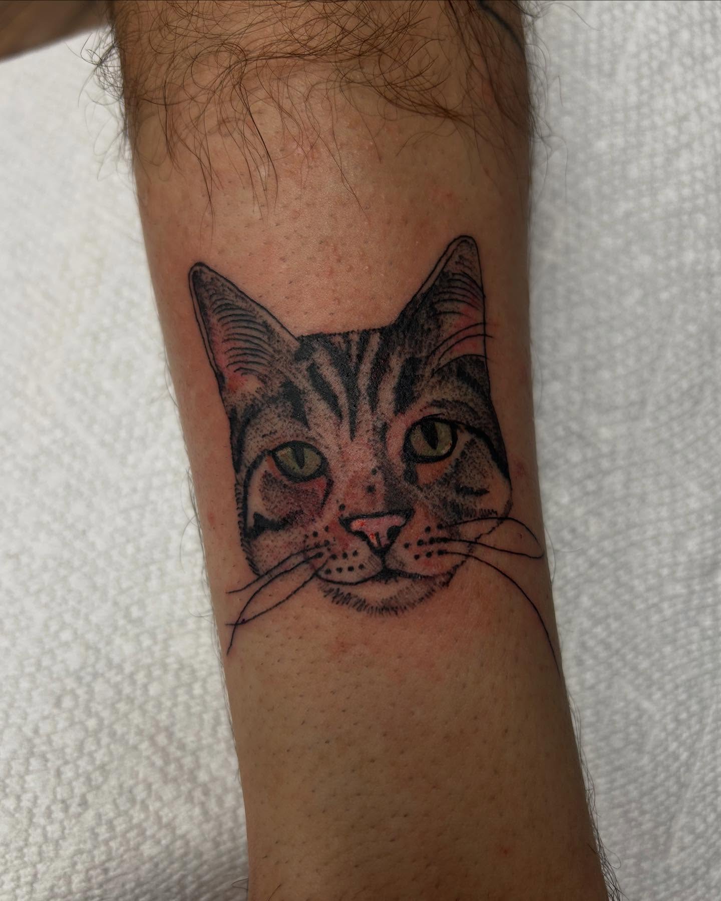 Cat realism tattoo on the forearm by Tiffany Vargas