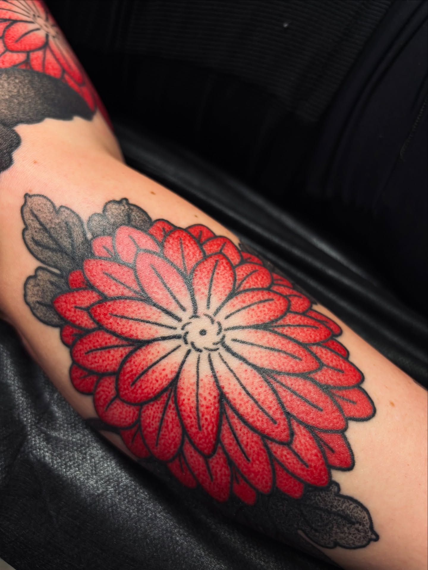 Chrysanthemum dotwork tattoo on the forearm by Kolbi Alexis