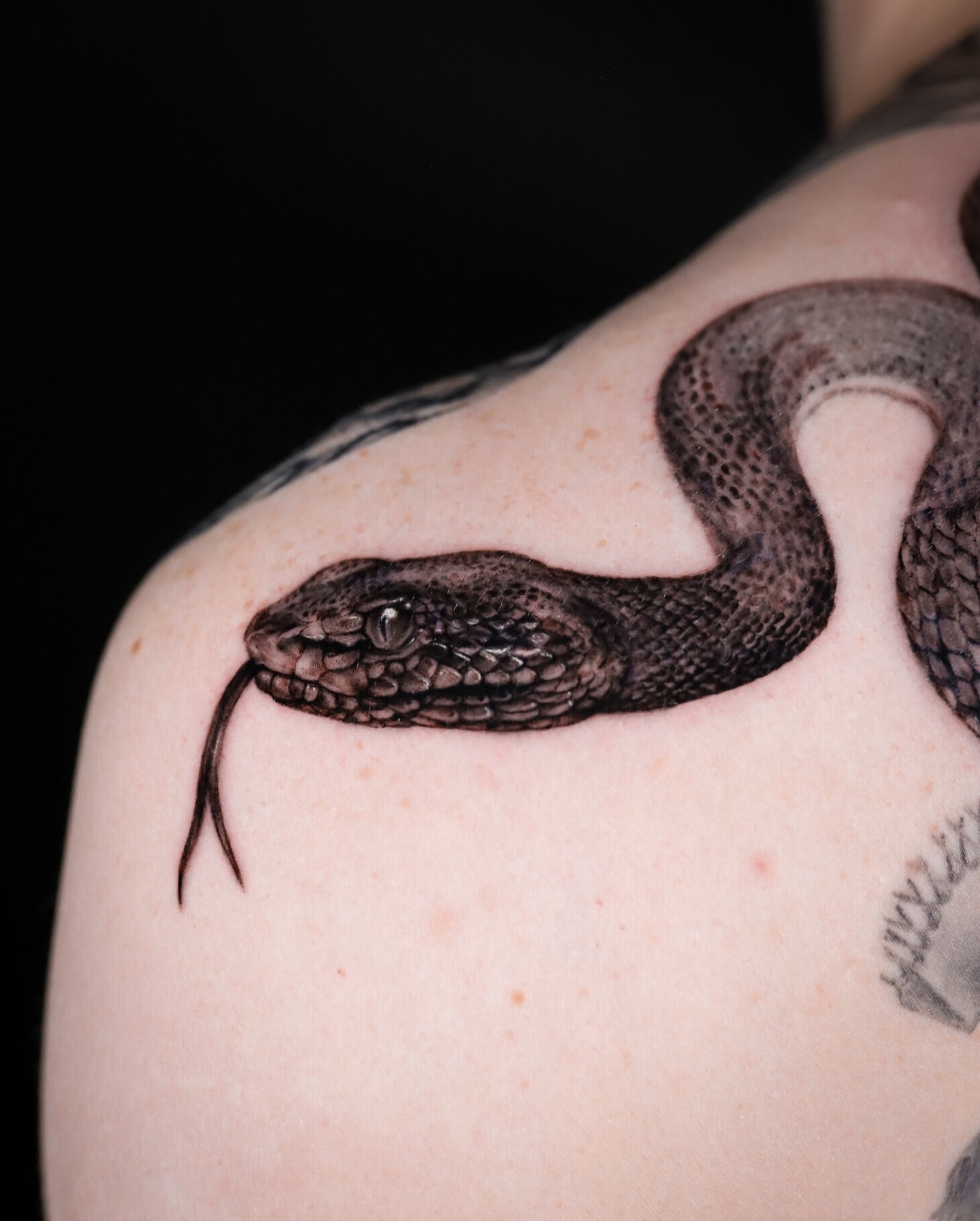 Snake realism tattoo on the shoulder by Emily Conner