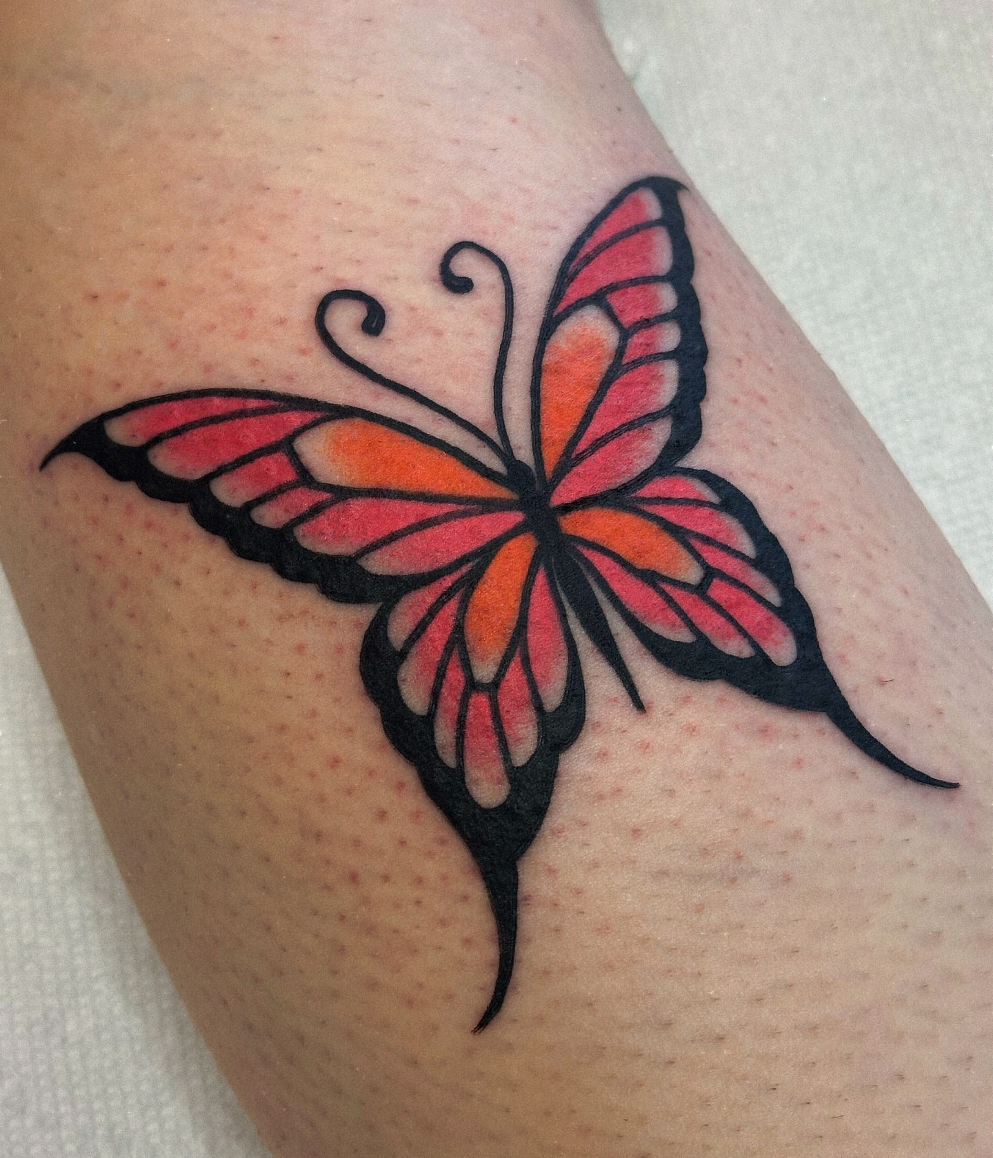 Tattoo by @lindseebeetattoo — new_school