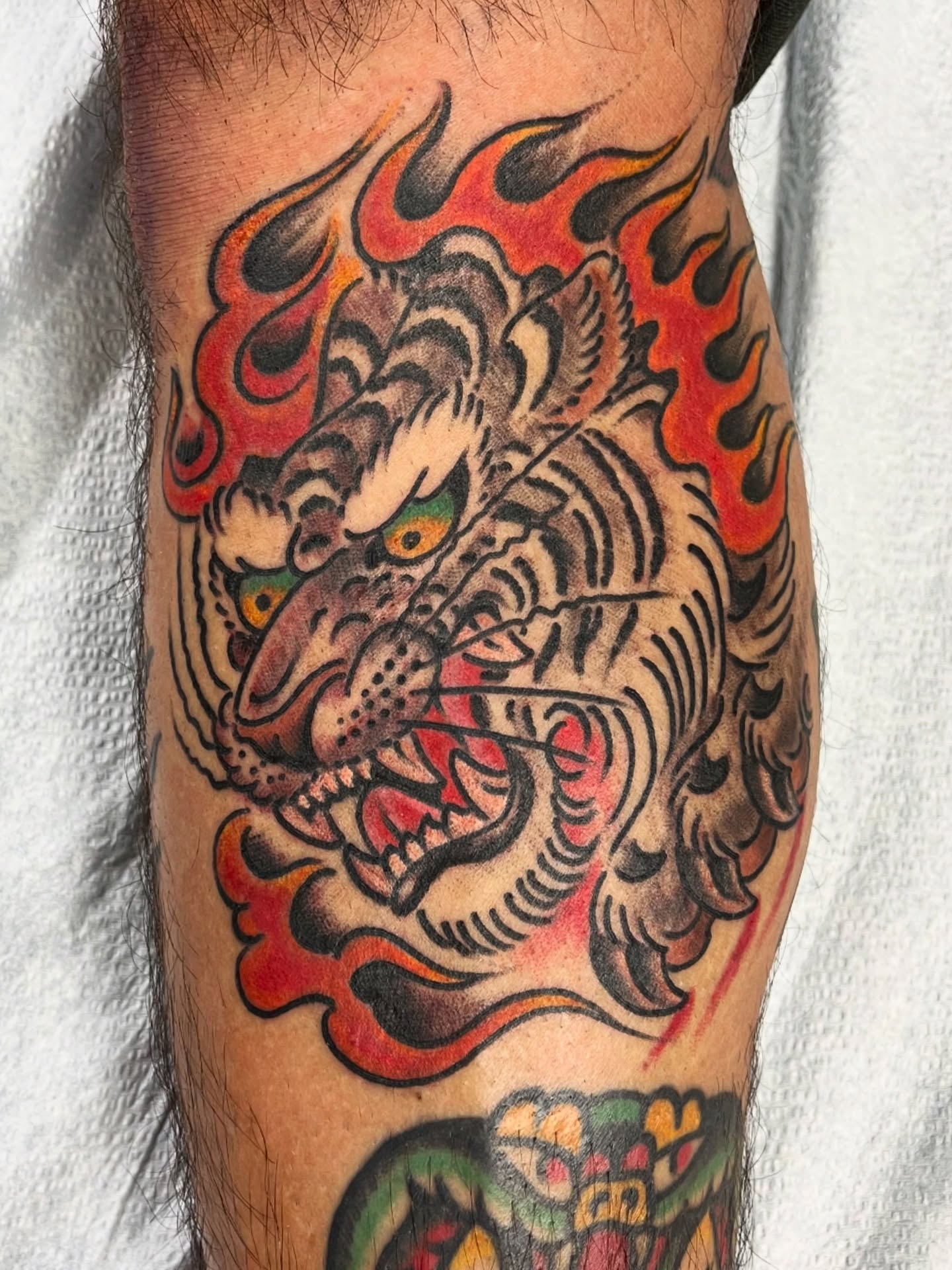 Tiger American traditional tattoo on the forearm by Graham Niles