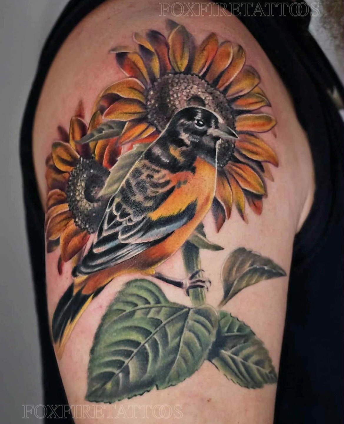 Sunflower and bird realism tattoo on the shoulder by Lindsey Chevalier - KCMO TATTOO ARTIST