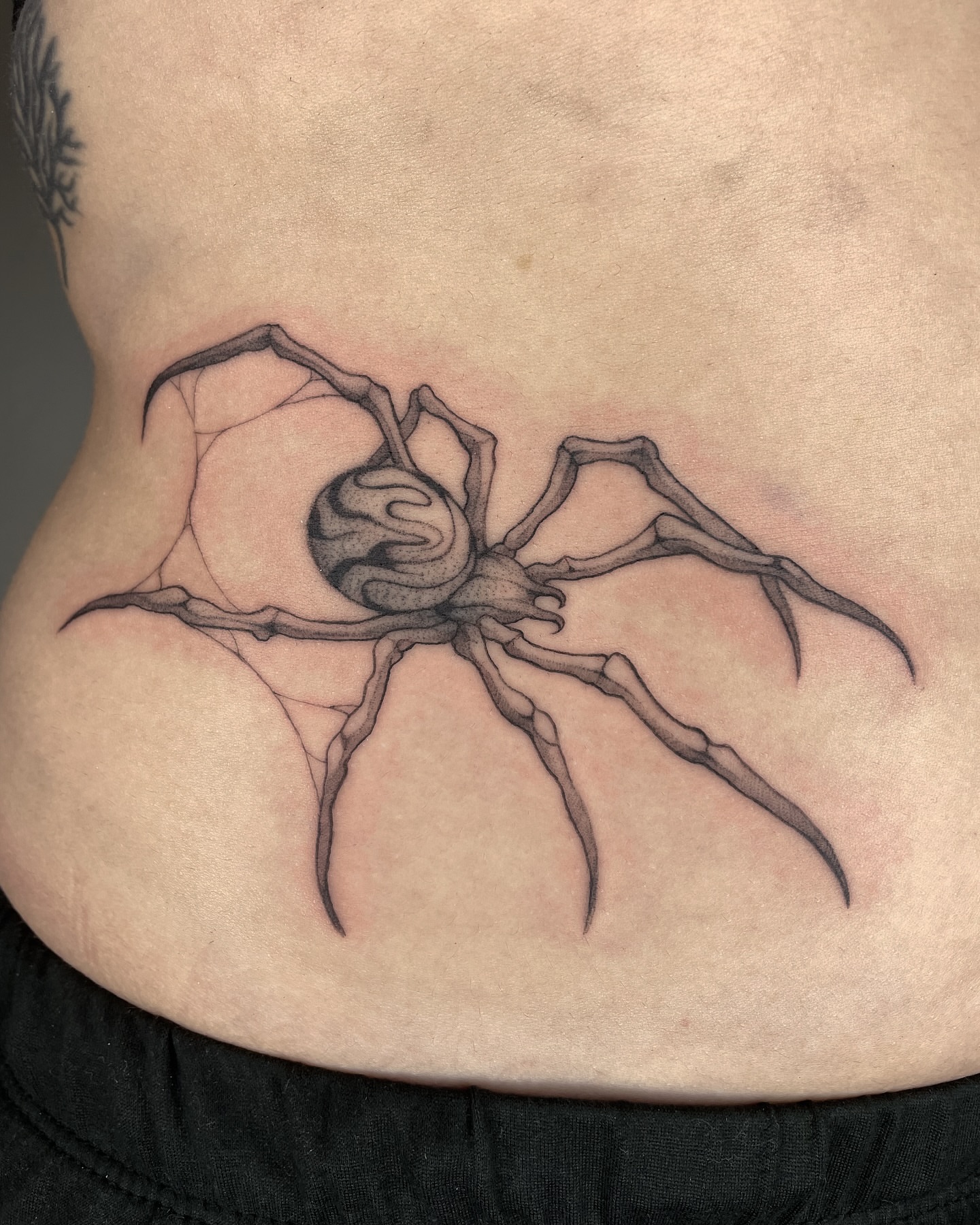 Spider black and grey tattoo on the torso by 𝕮𝖆𝖗𝖔𝖑𝖎𝖓𝖊 𝕽𝖆𝖊 𝕽𝖔𝖇𝖎𝖓𝖘𝖔𝖓, Los Angeles, California