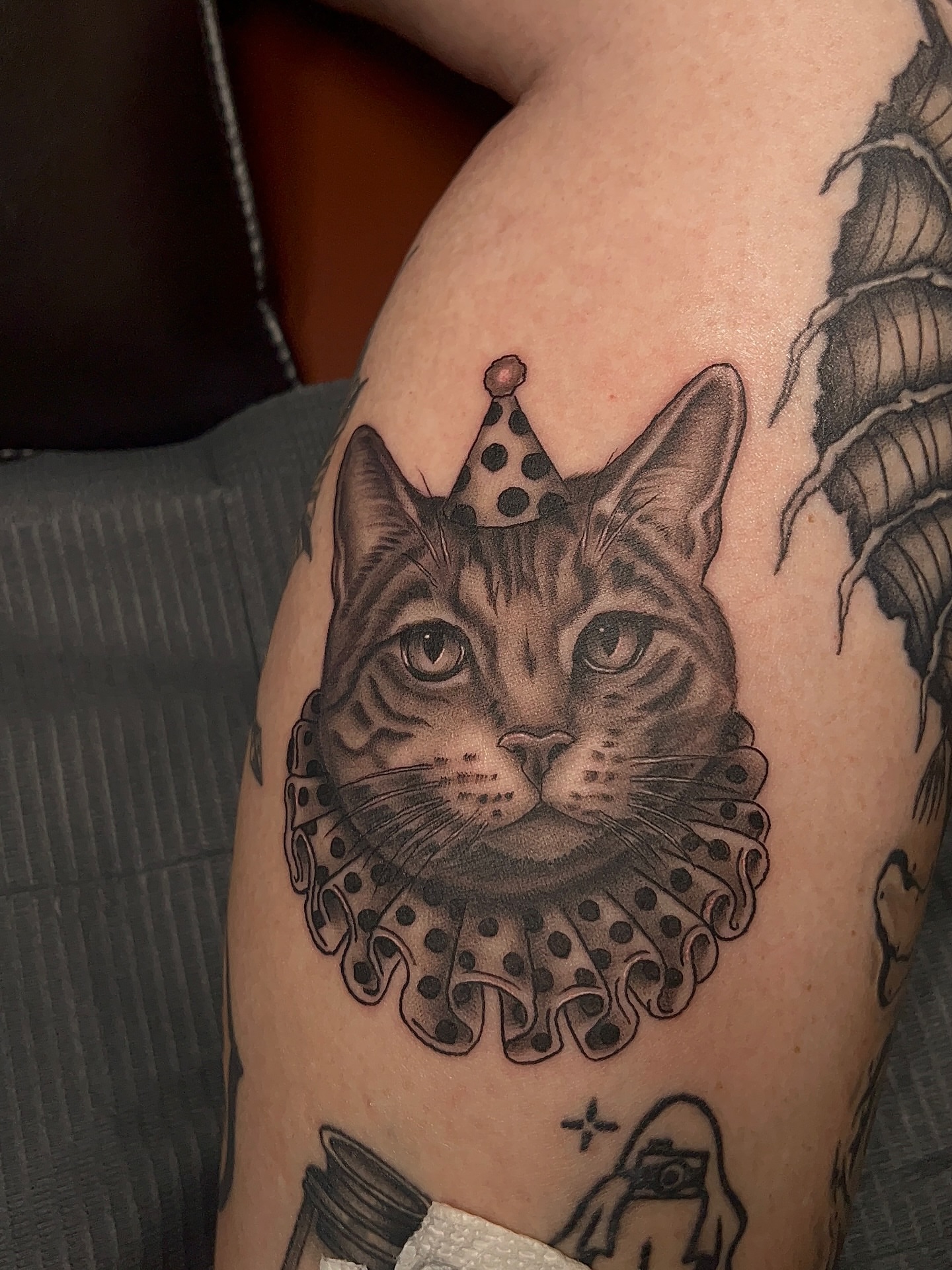 Cat with ruff and crown realism tattoo on the shoulder by Denis Seregin