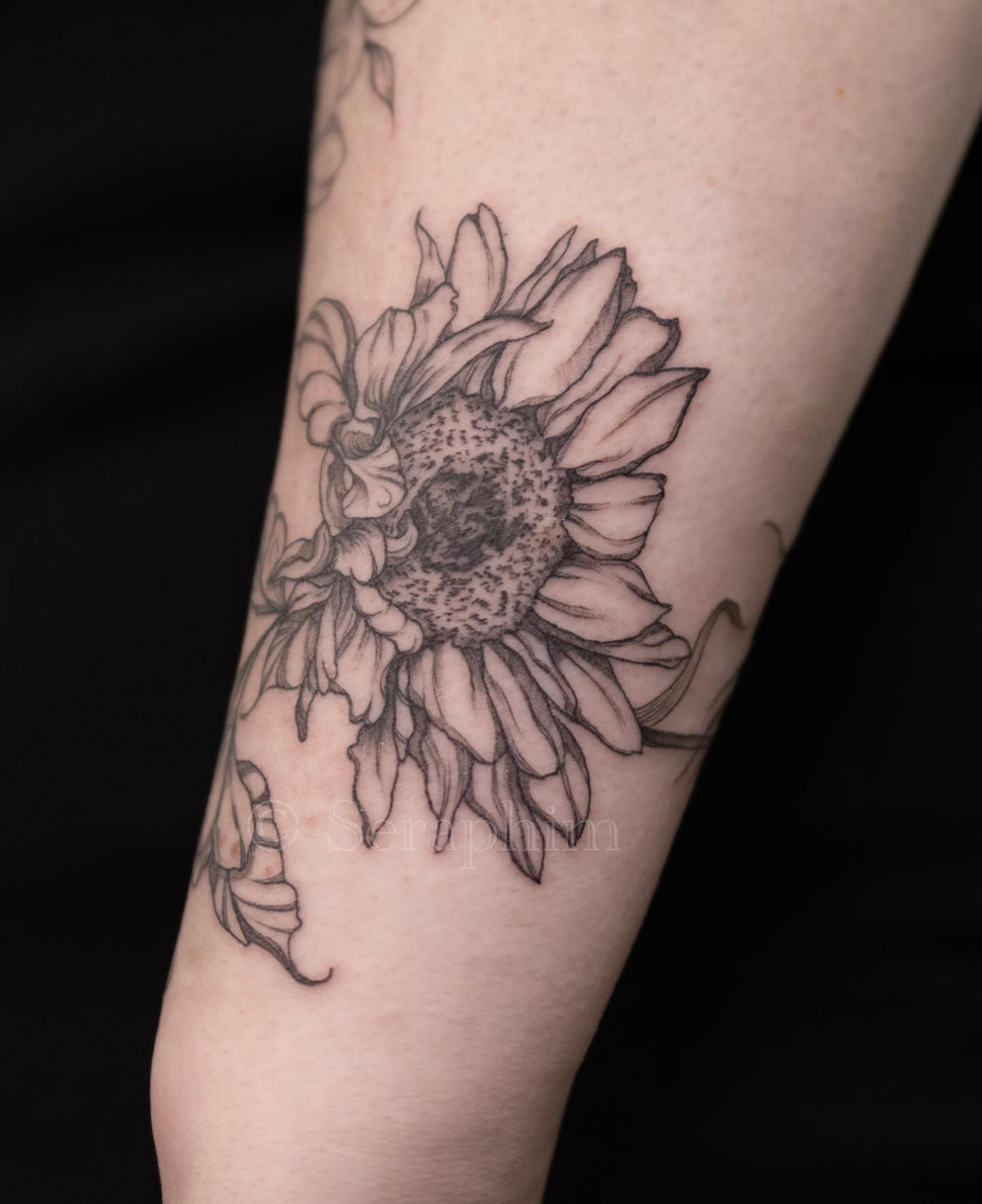 Tattoo by @seraphim.fineline — black_and_grey