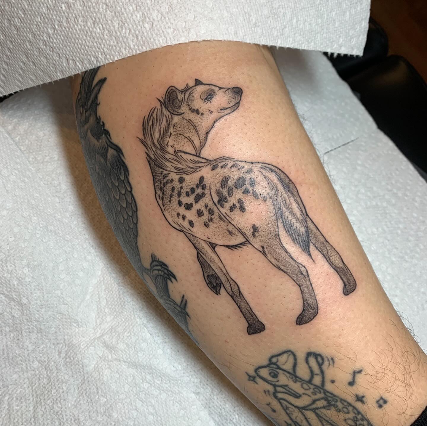 Hyena black and grey tattoo on the forearm by Tabby Wirebach, Kutztown, Pennsylvania