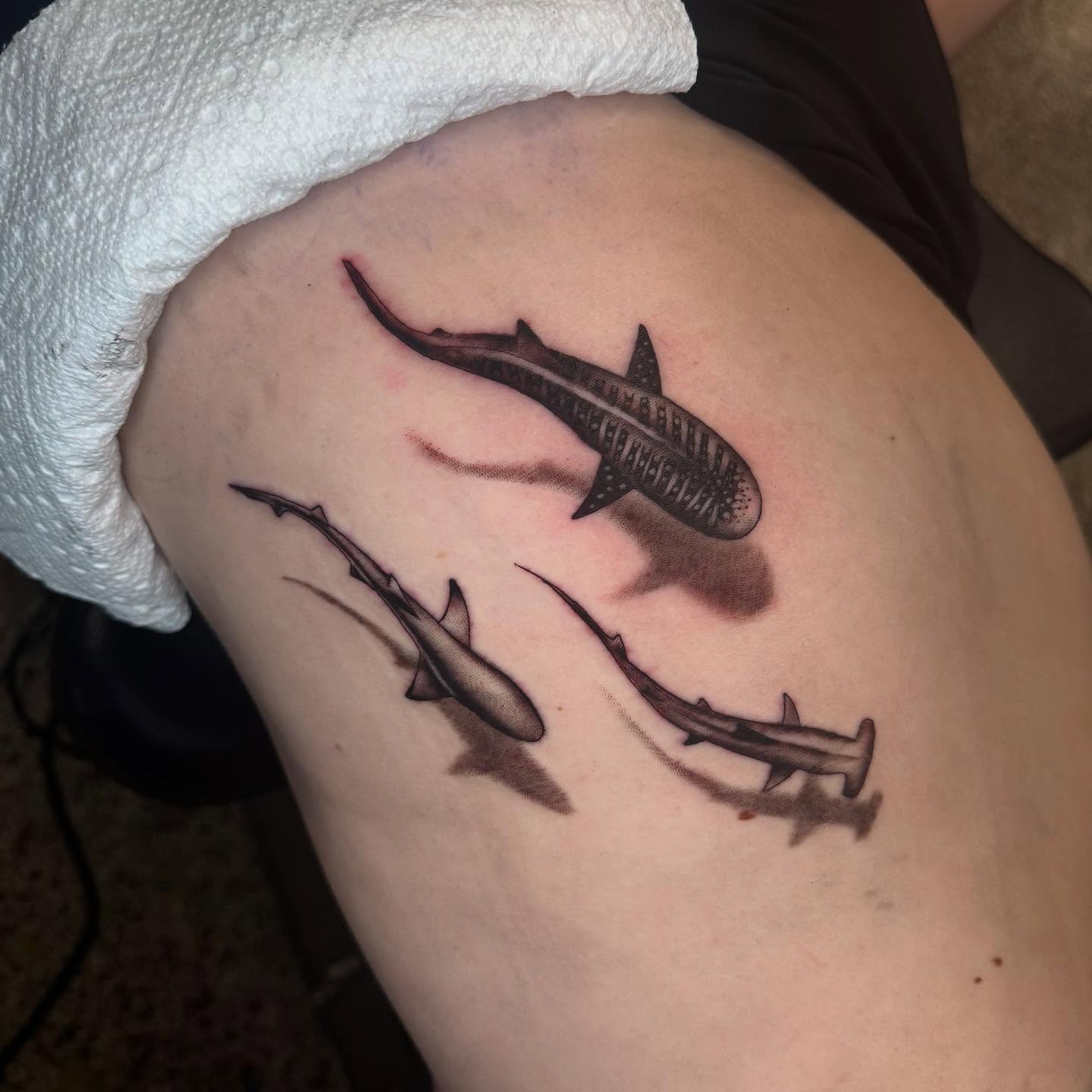 Sharks black and grey tattoo on the thigh by Graham Edward Vogel
