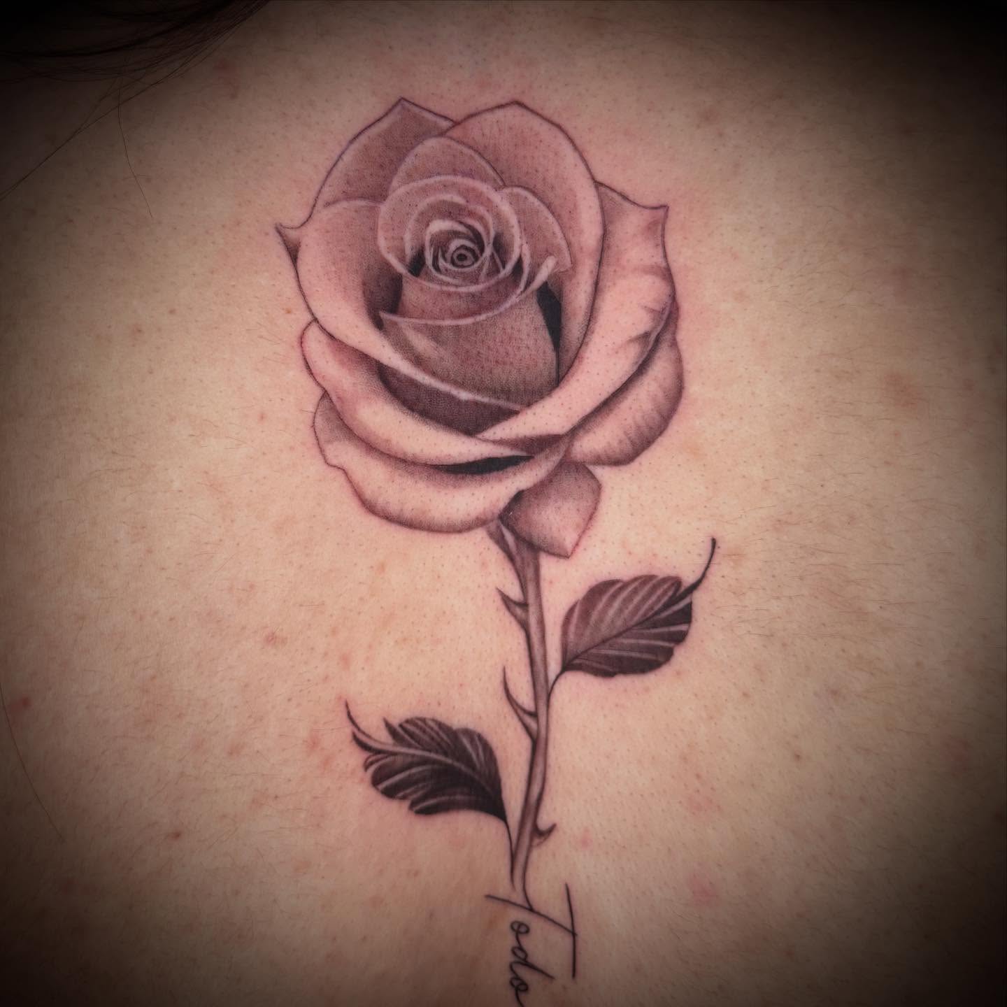 Rose black and grey tattoo on the back by Geo