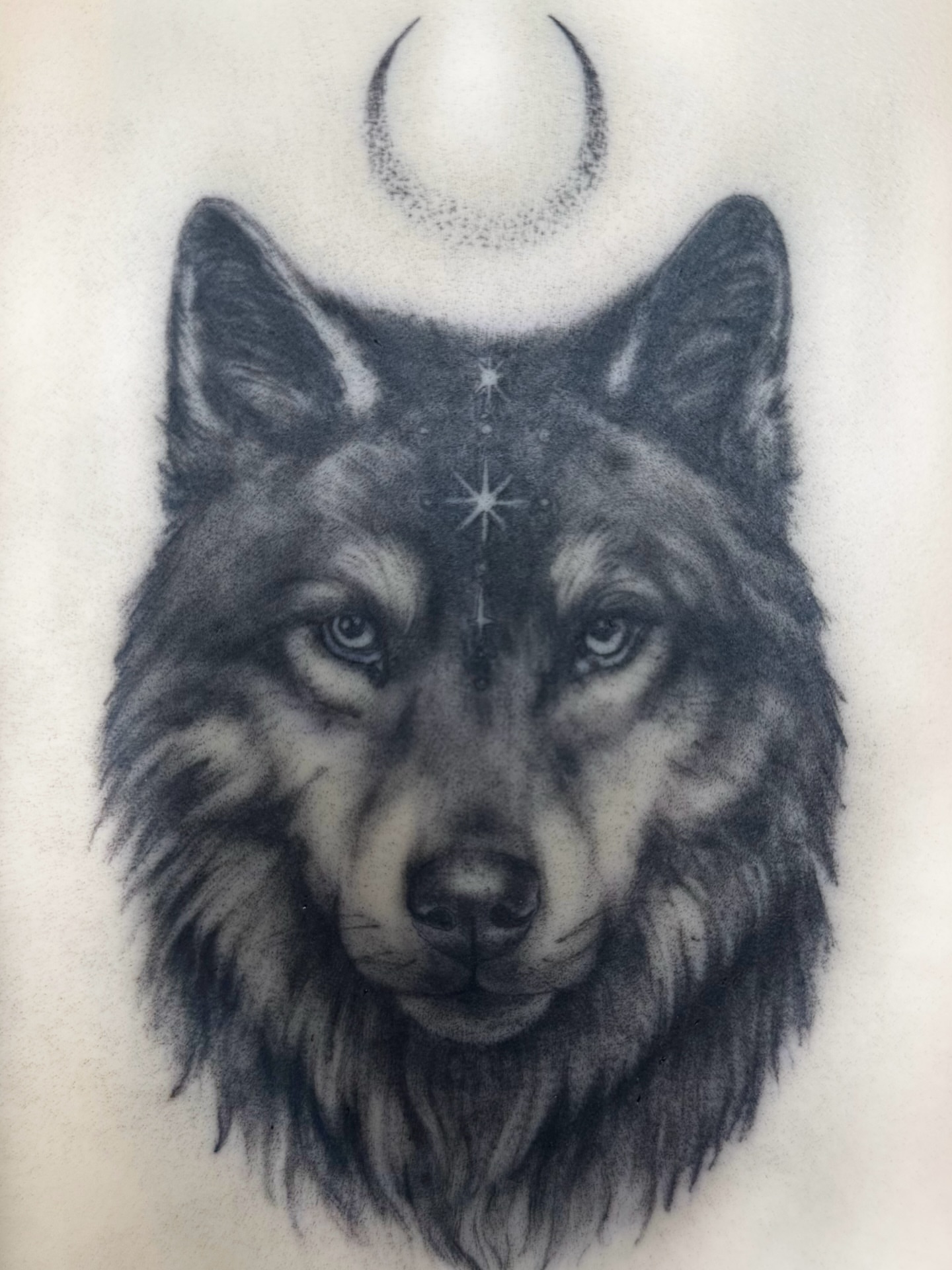 Wolf realism tattoo by @blackastaratattoo
